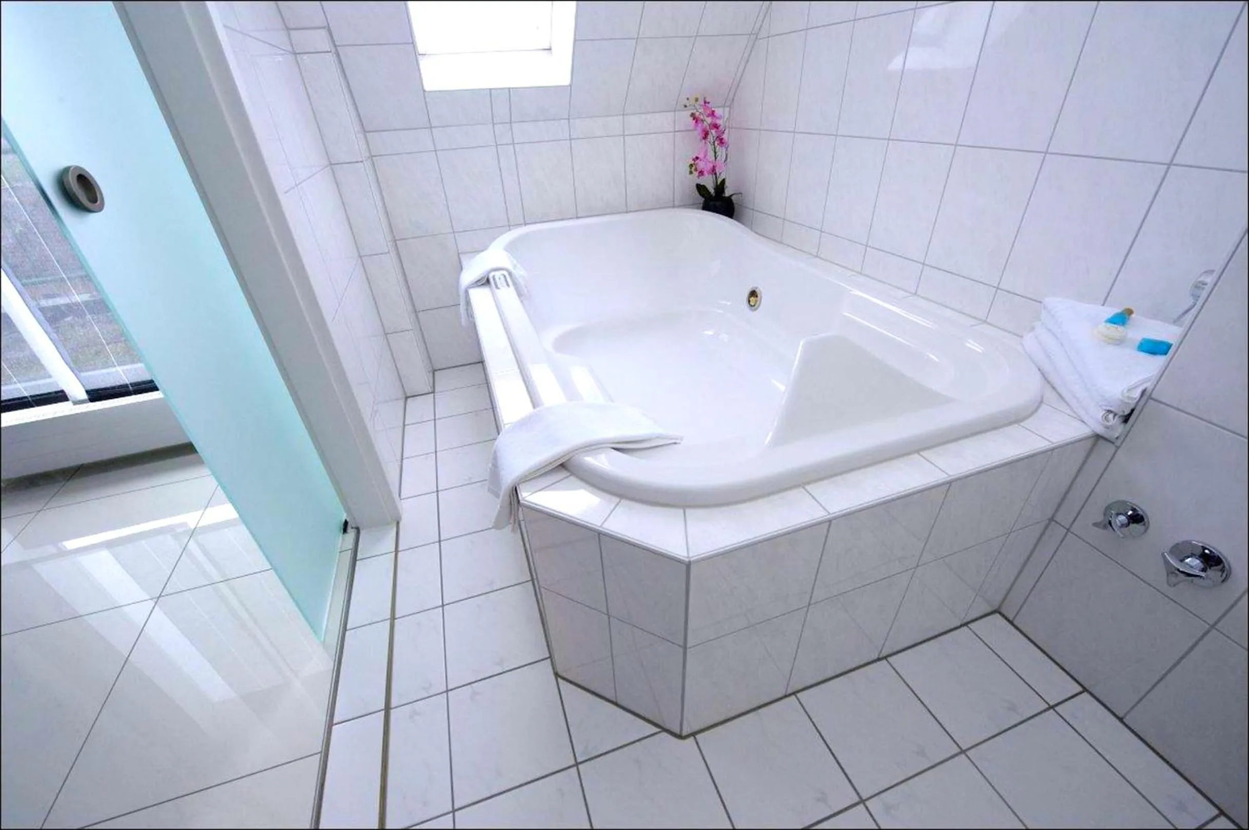 Hot Tub in Weber Hotel Mannheim