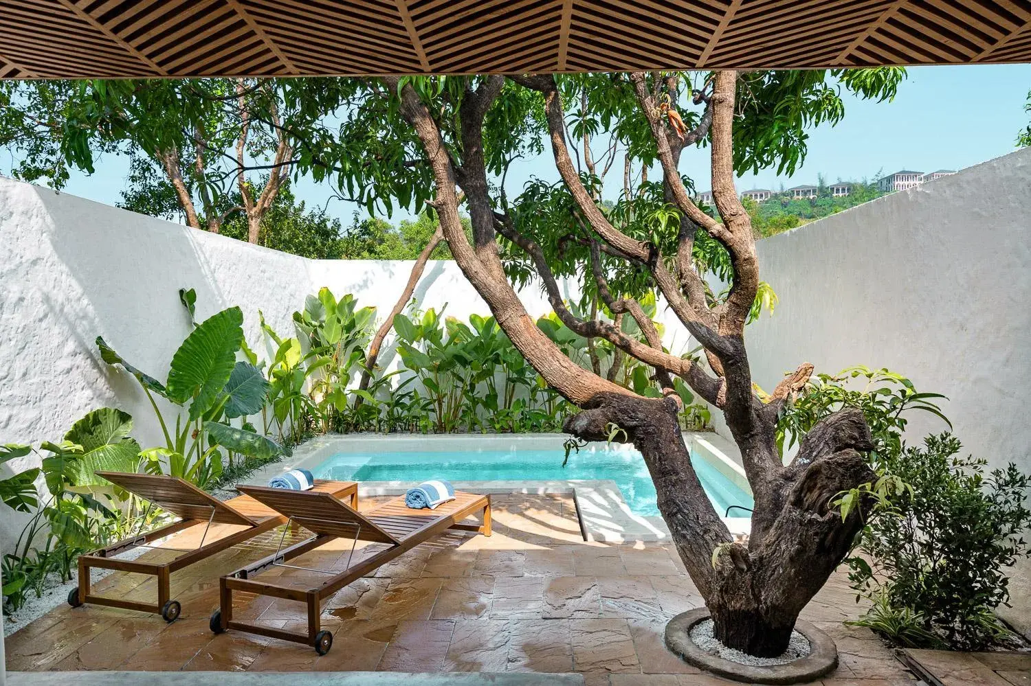 Azora by Ayatana, Goa Azora by Ayatana, Goa