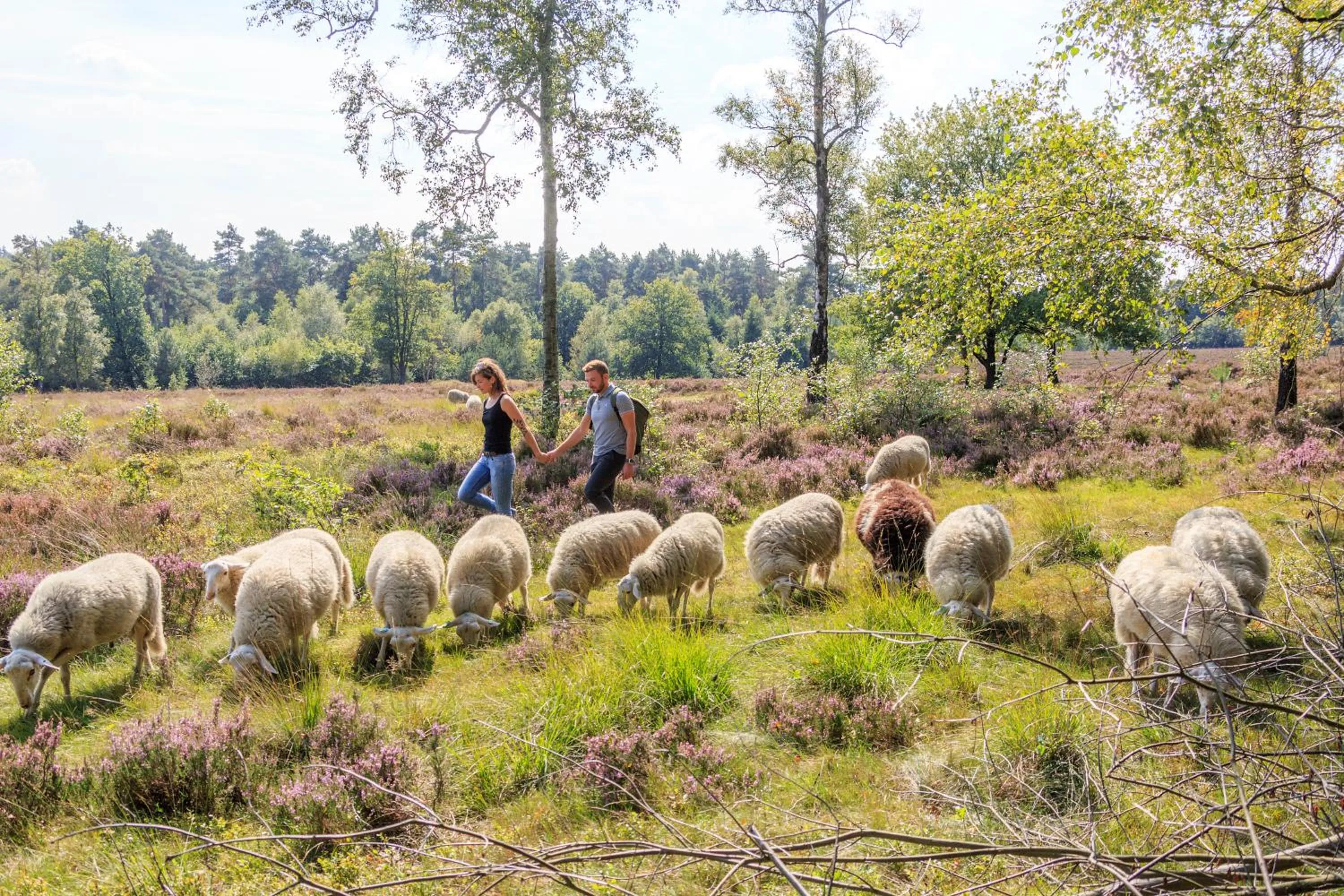 Area and facilities in Kruller - Hotel B&B