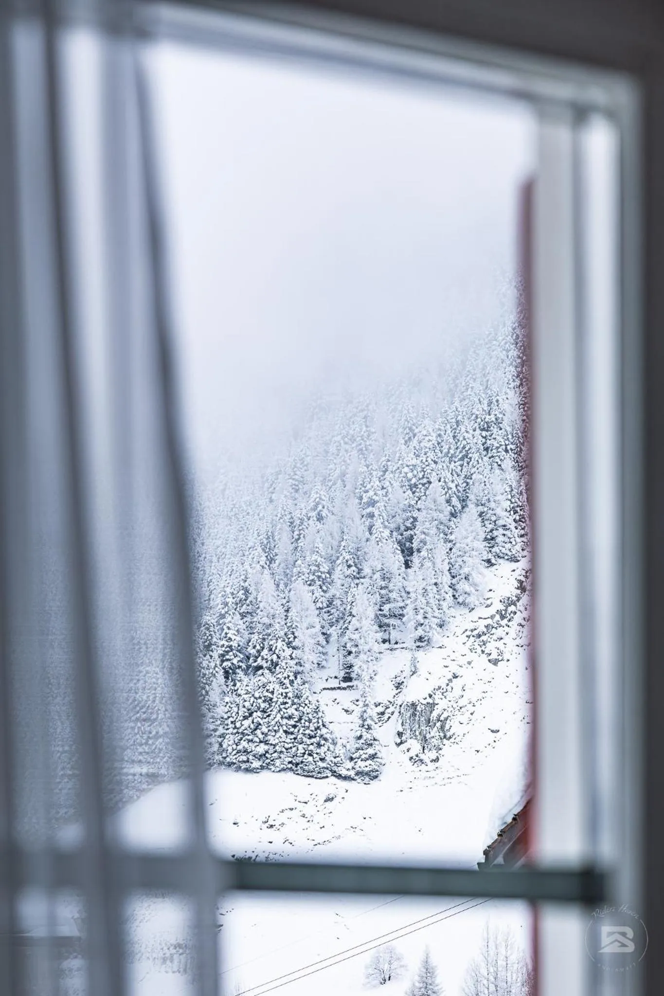 View (from property/room) in Hotel Bergidyll - Riders Haven