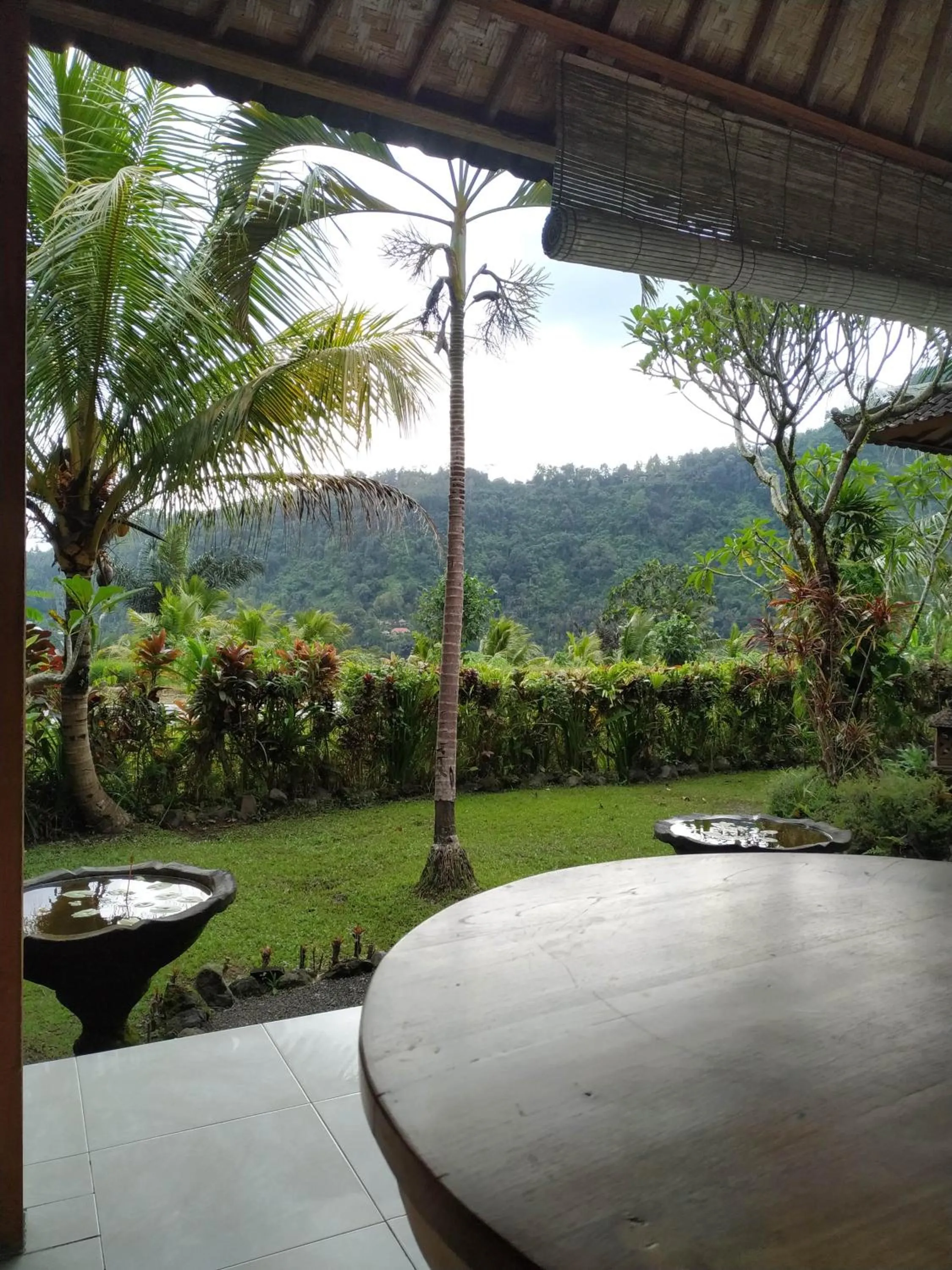 Natural landscape in The Bukit Artha