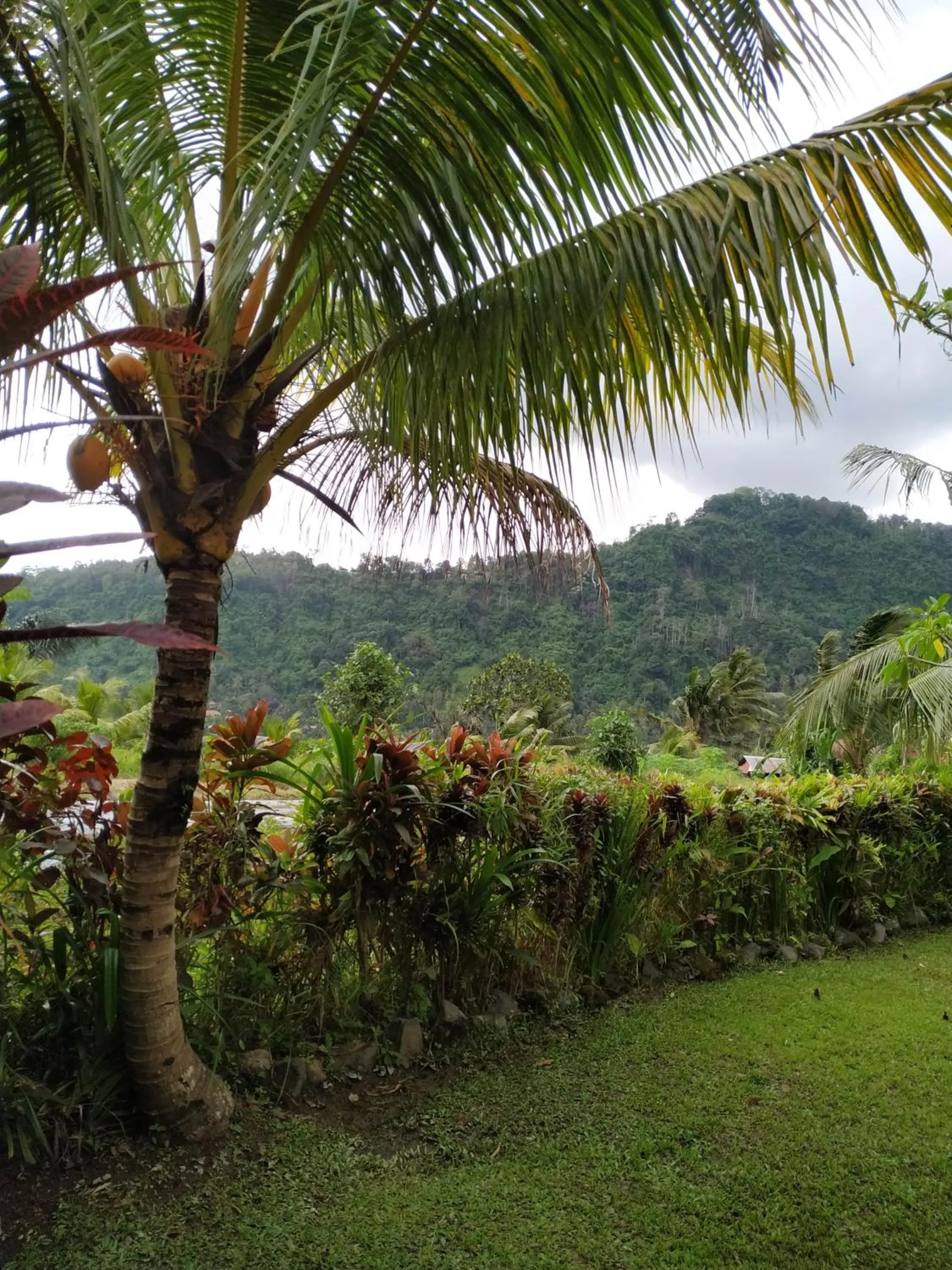 Natural landscape in The Bukit Artha