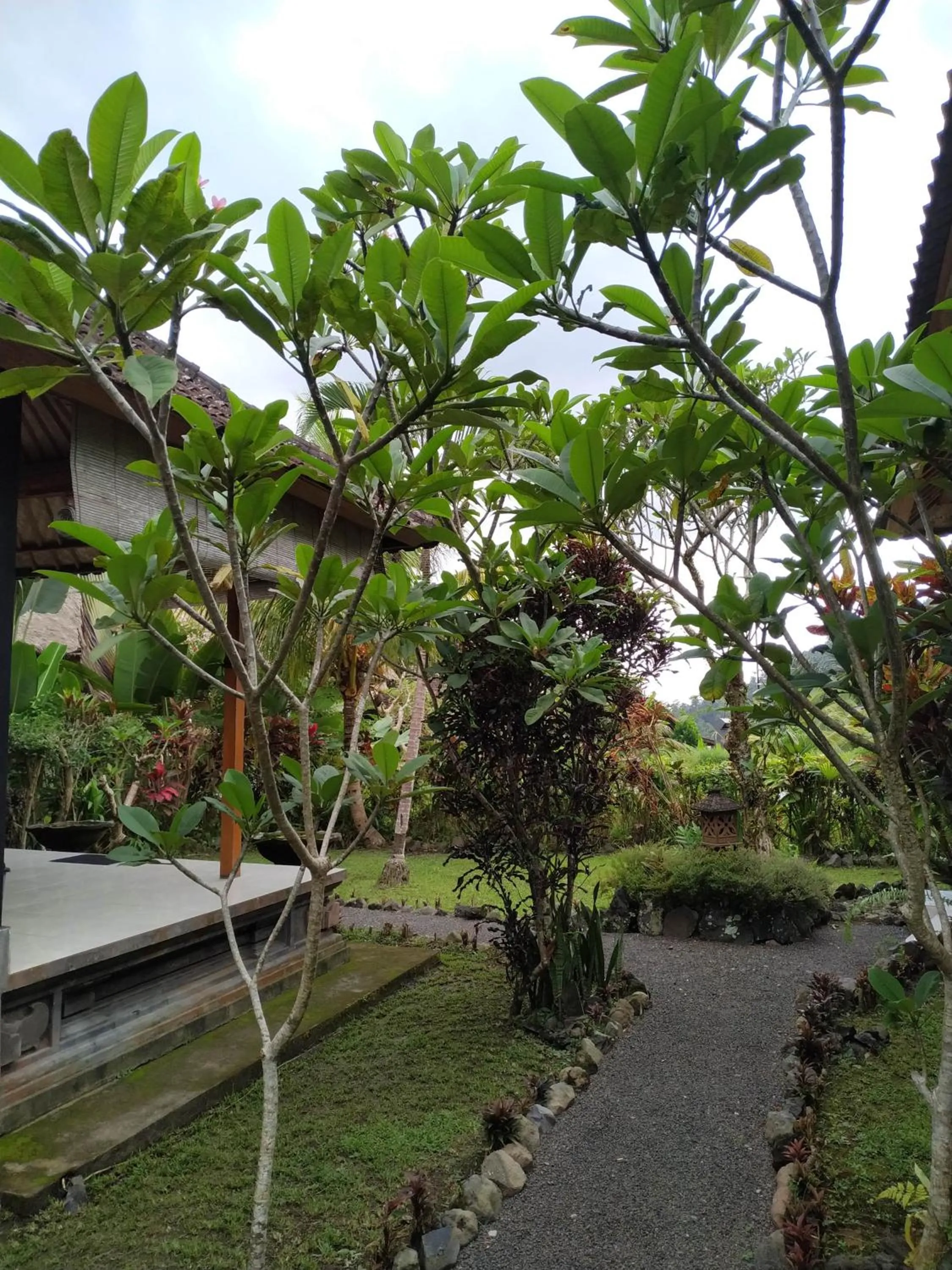 Garden in The Bukit Artha