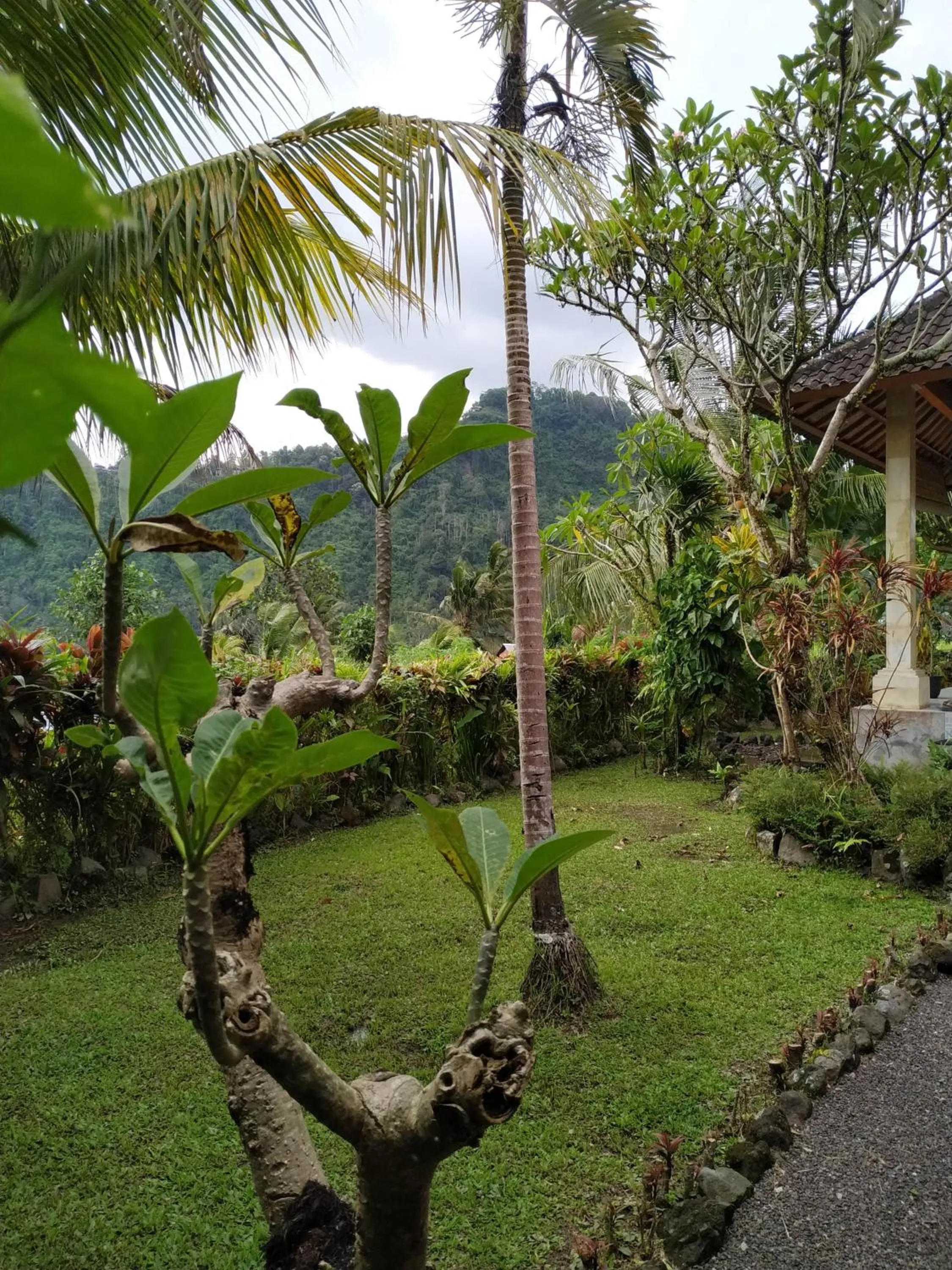 Garden in The Bukit Artha