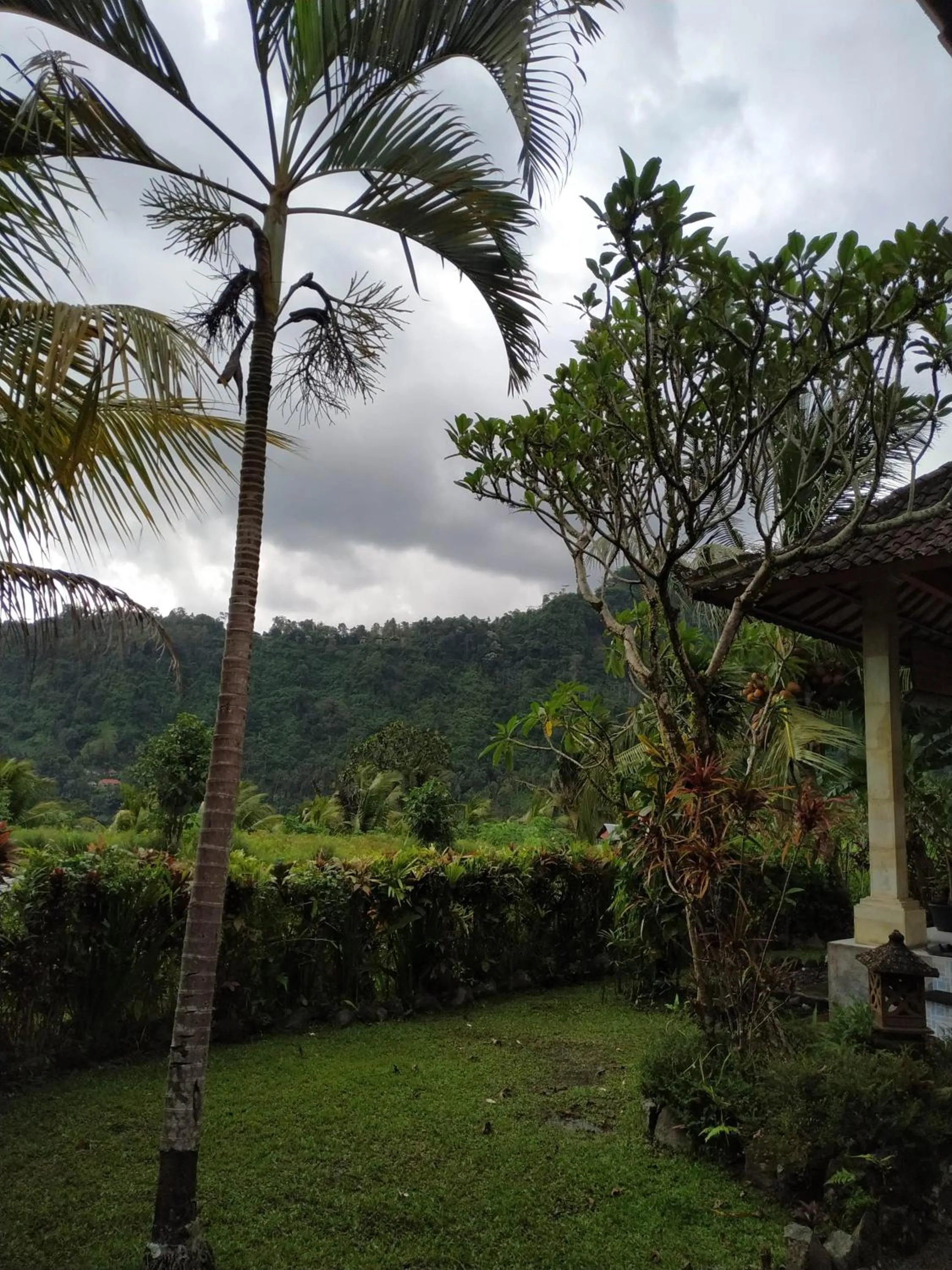 Garden in The Bukit Artha