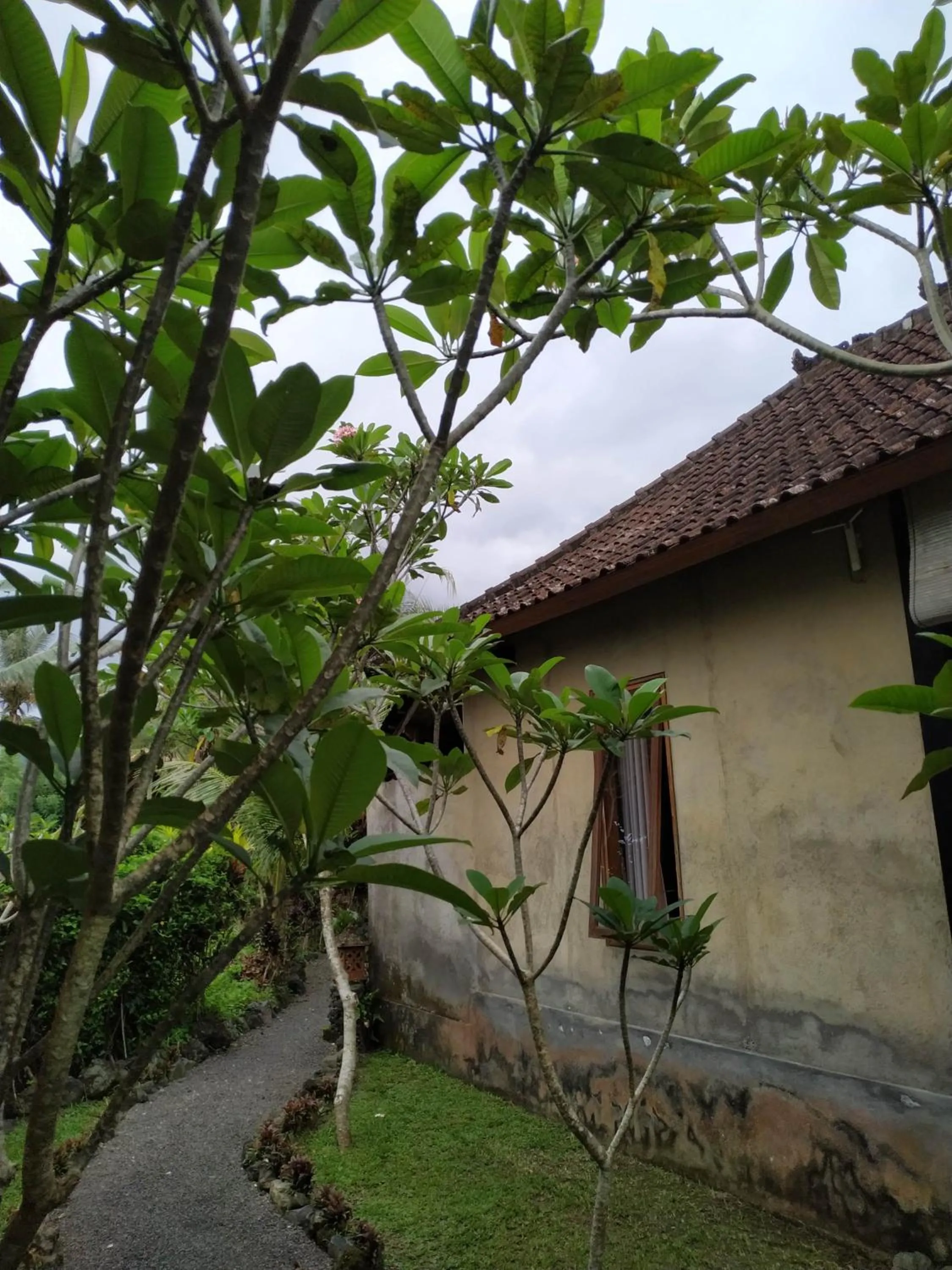 Garden in The Bukit Artha