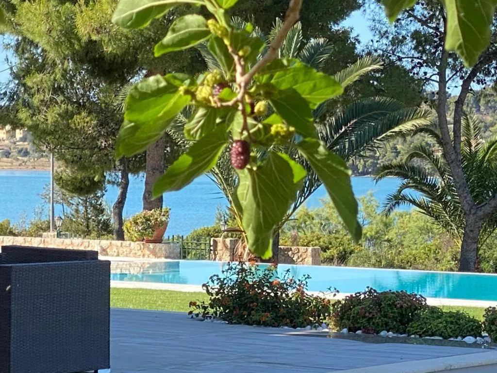 Villa Grace