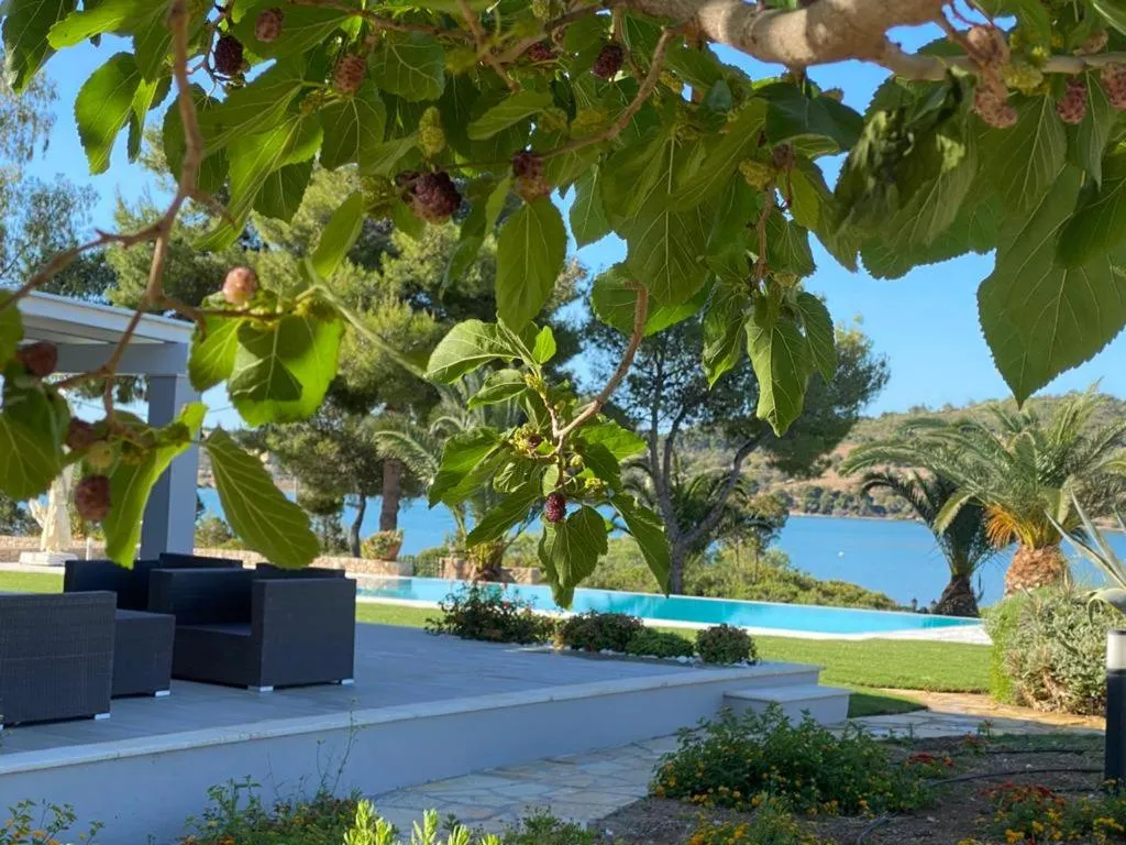 Villa Grace