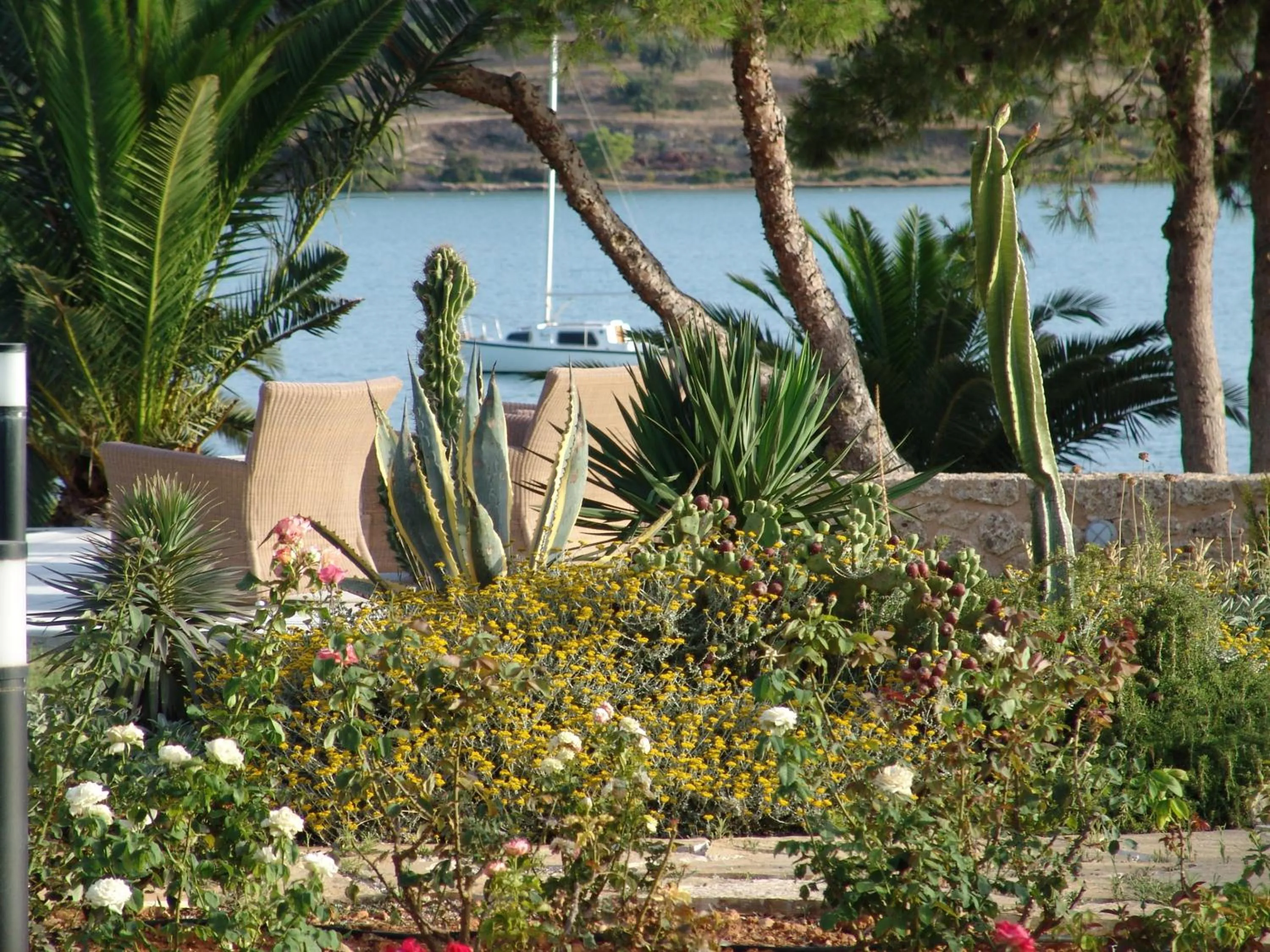 Garden in Villa Grace