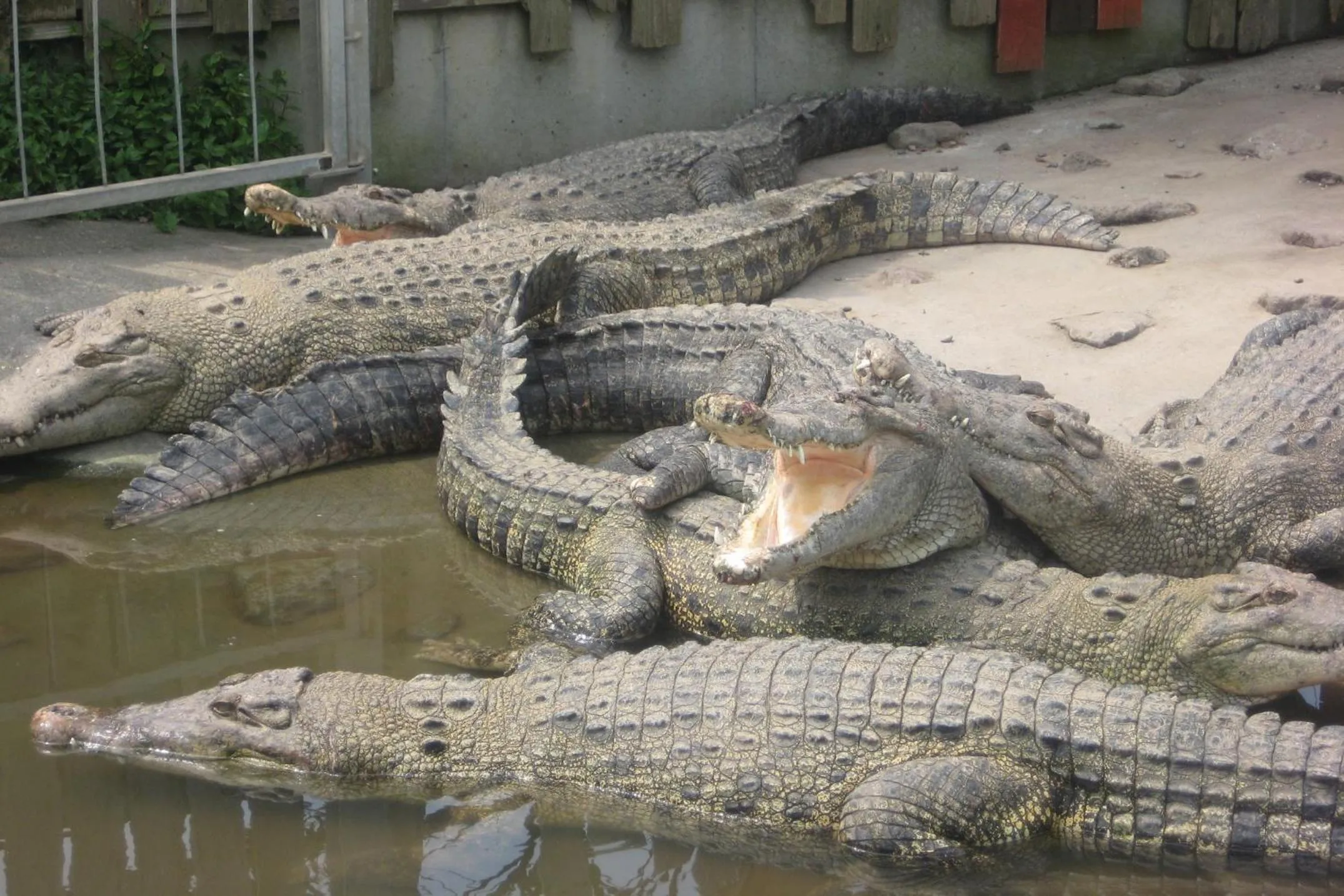 Nearby landmark in Grand Mercure Beppu Bay Resort & Spa