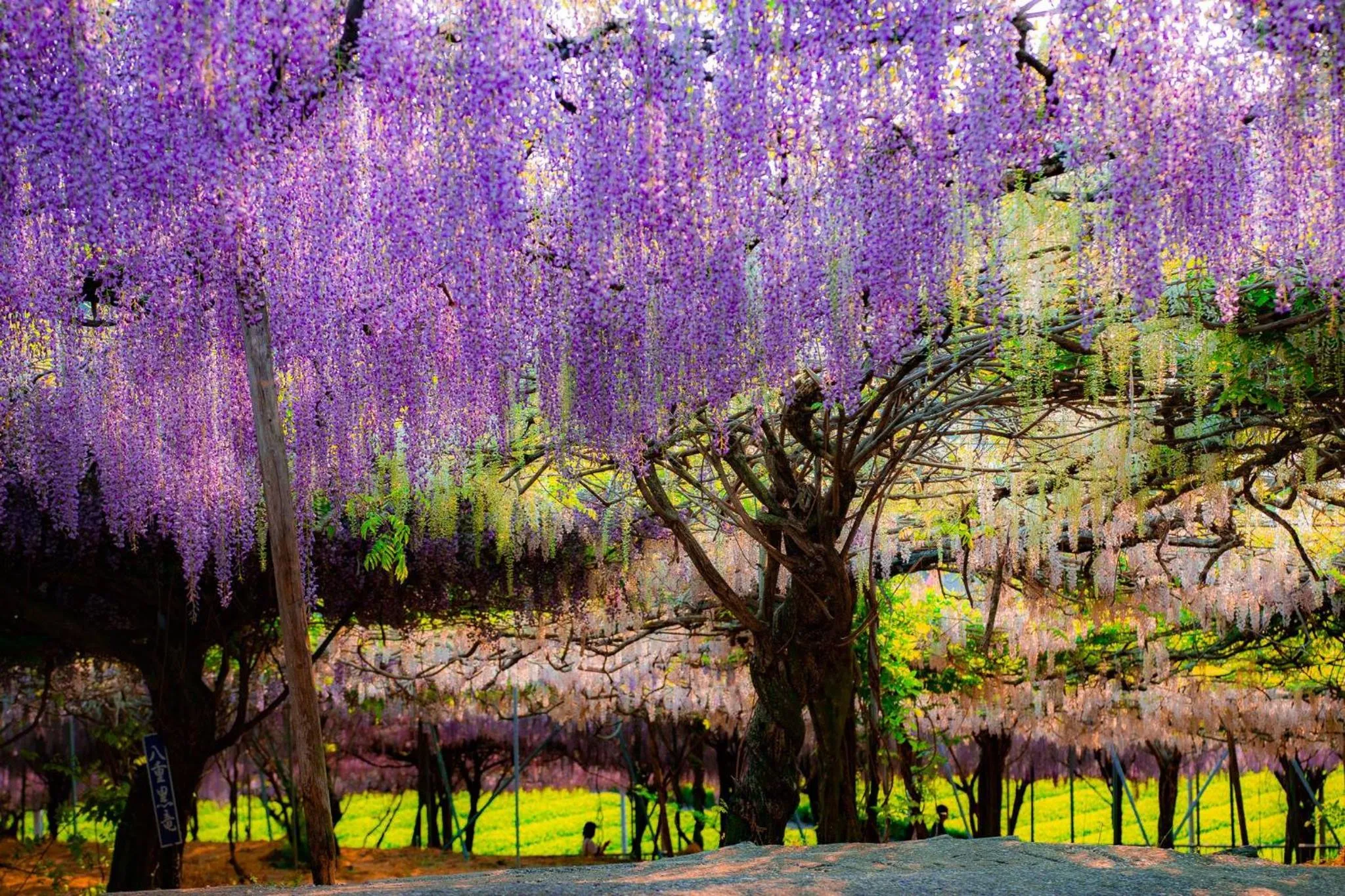 Nearby landmark in Grand Mercure Beppu Bay Resort & Spa
