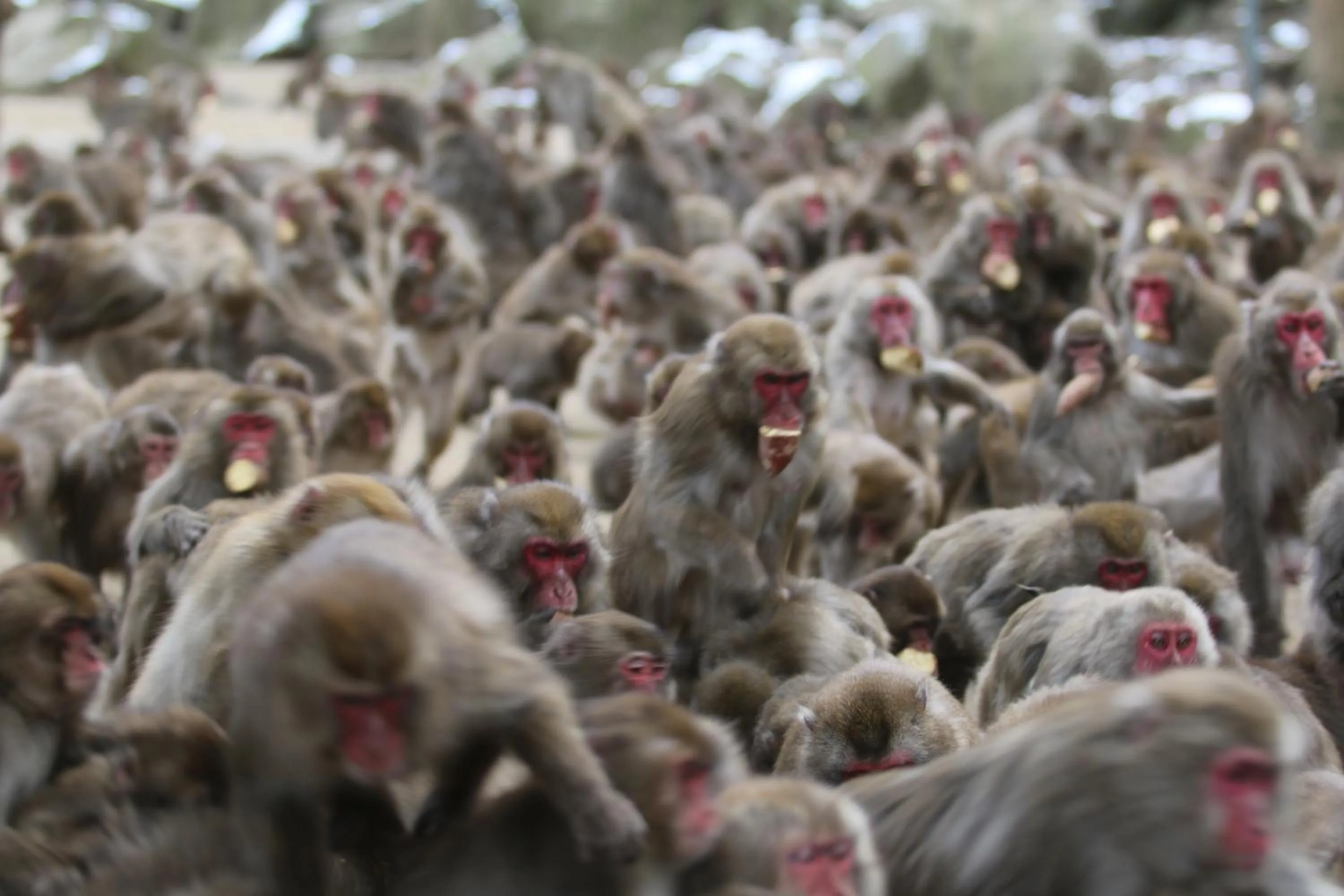 Nearby landmark in Grand Mercure Beppu Bay Resort & Spa