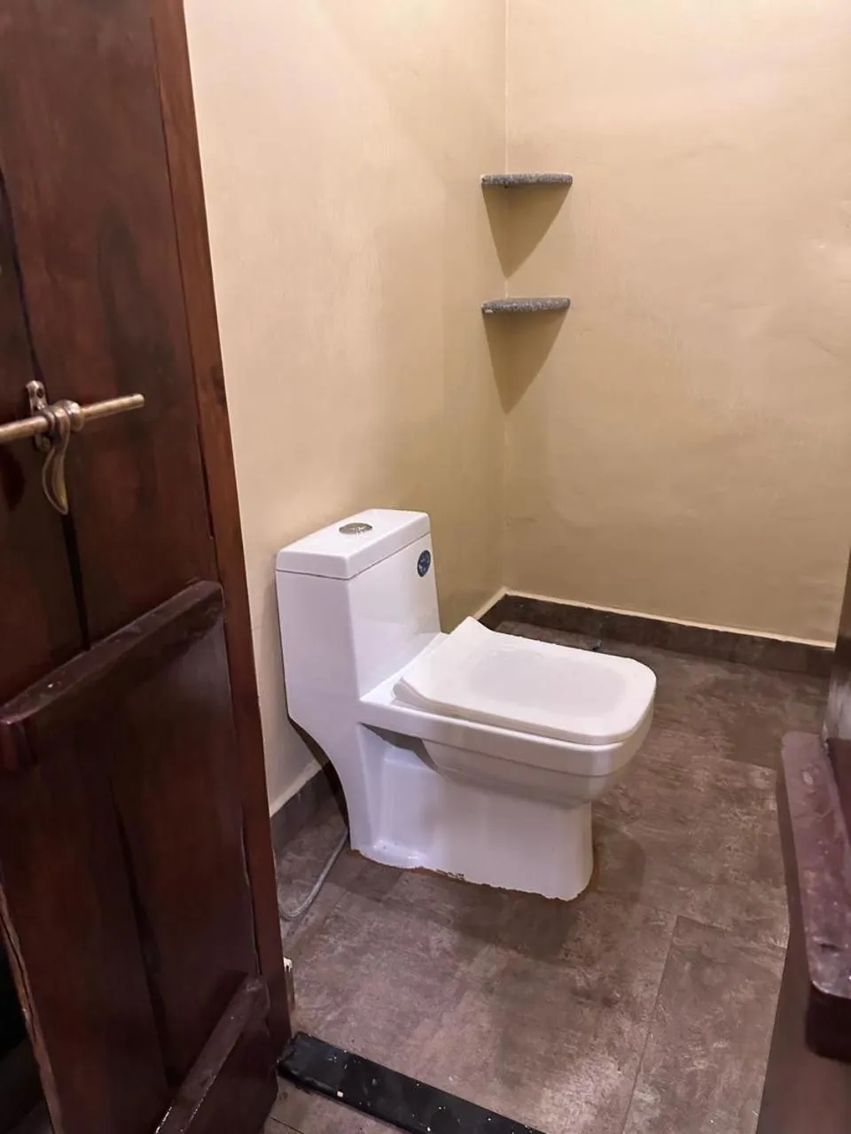 Vibes Inn Singing Tree