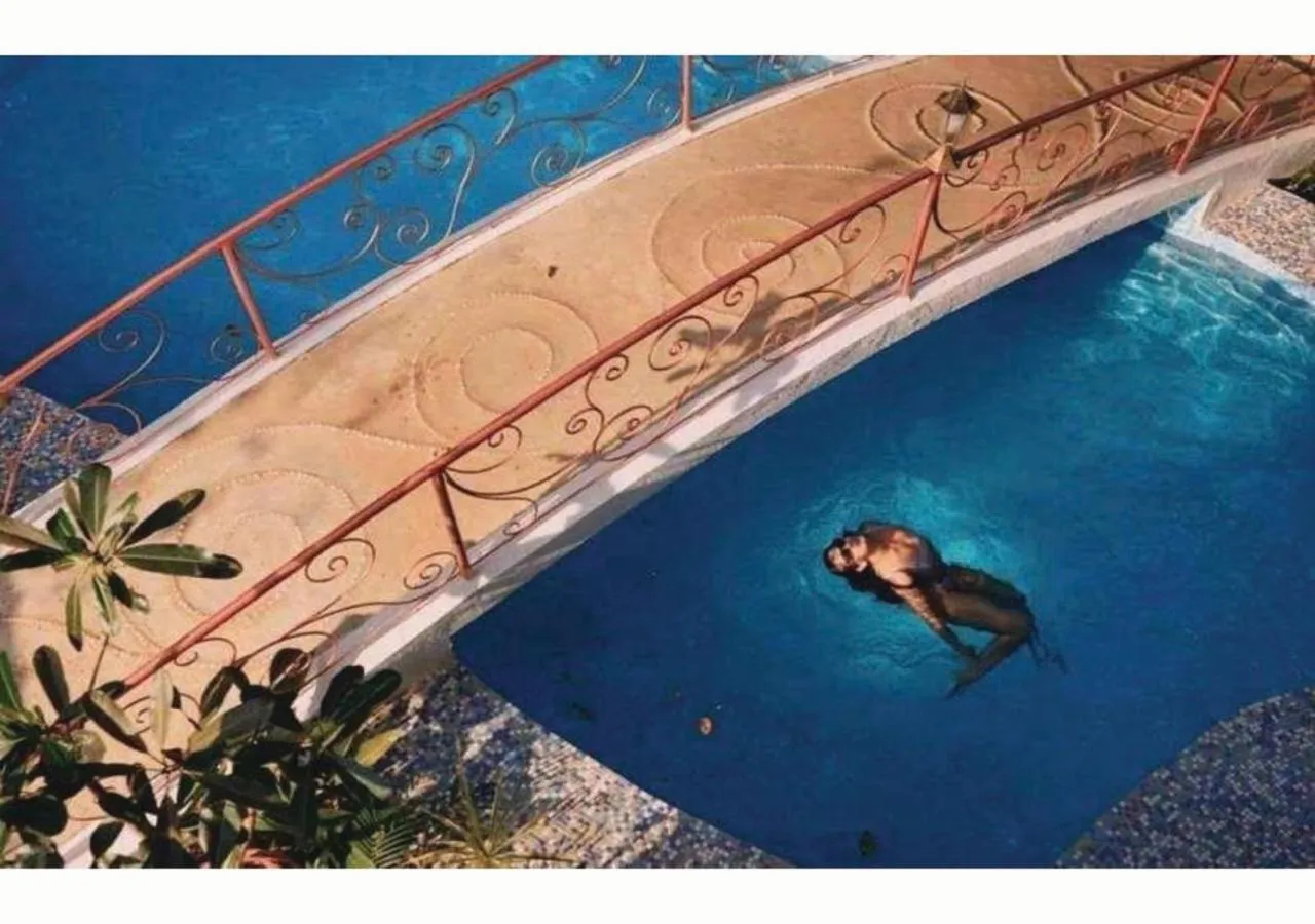 Vibes Inn Singing Tree