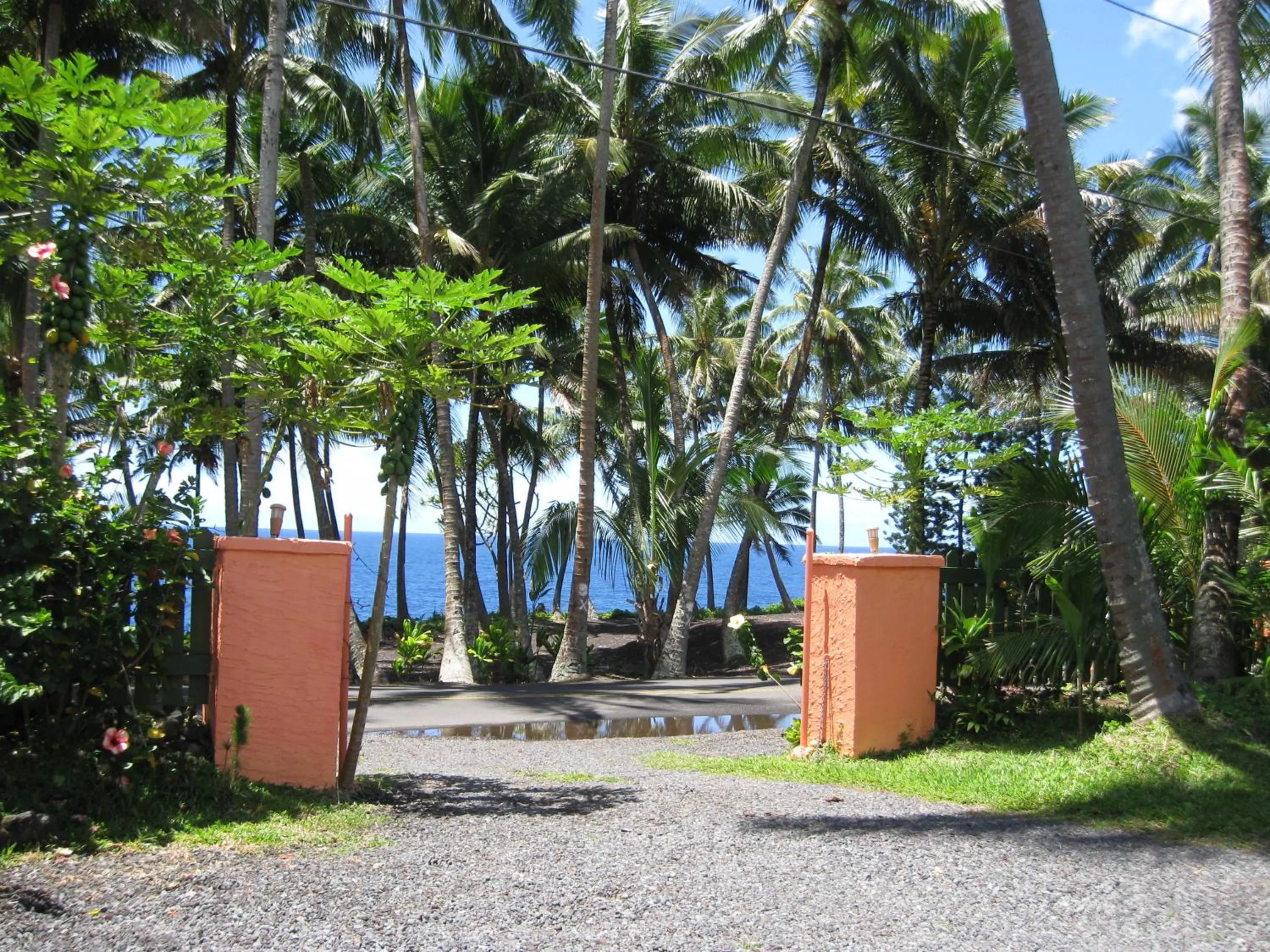 Garden in Whale House at Kehena Beach