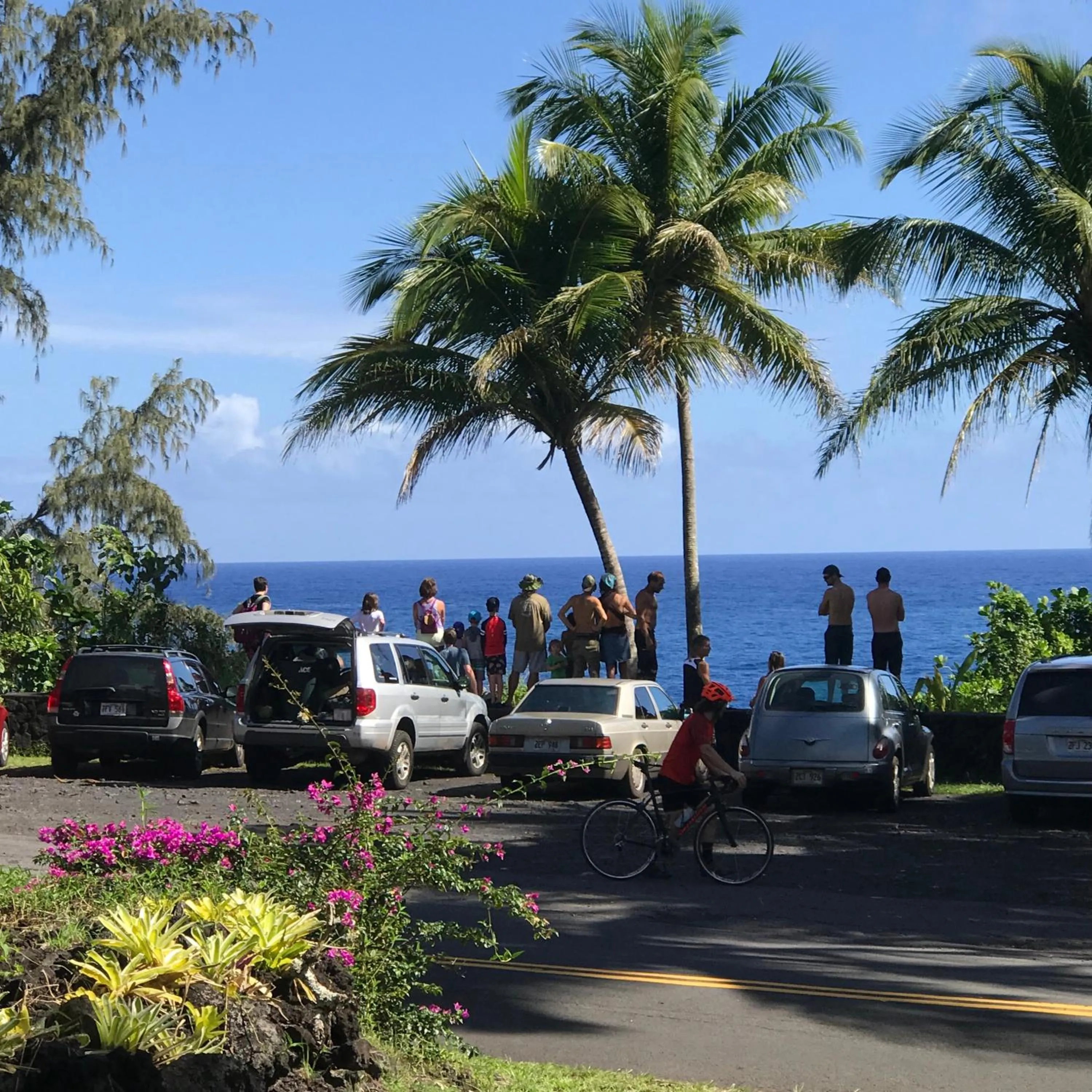 Winter in Whale House at Kehena Beach