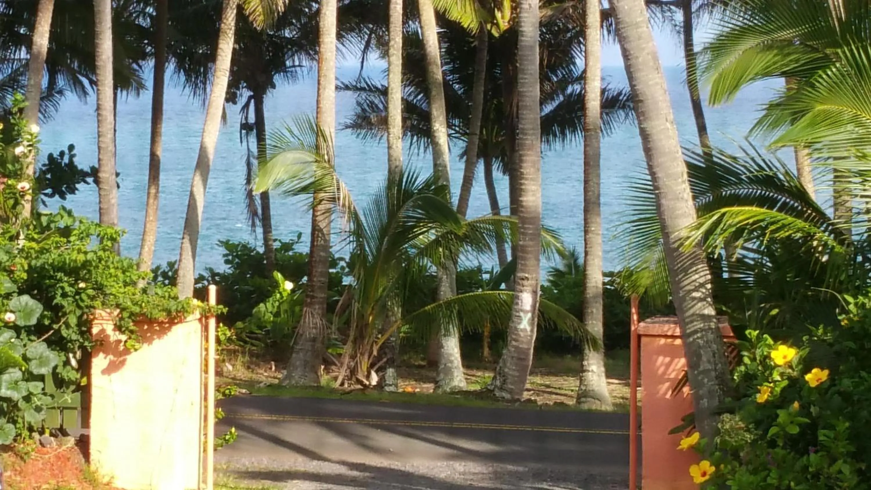 Other in Whale House at Kehena Beach