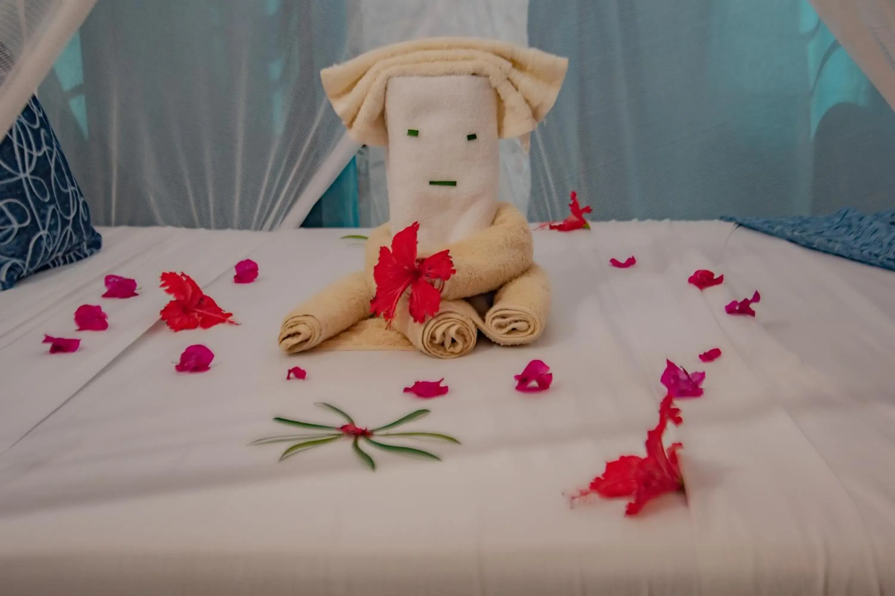 Standard Double Room in HA Beach Hotel Zanzibar Standard Double Room in HA Beach Hotel Zanzibar