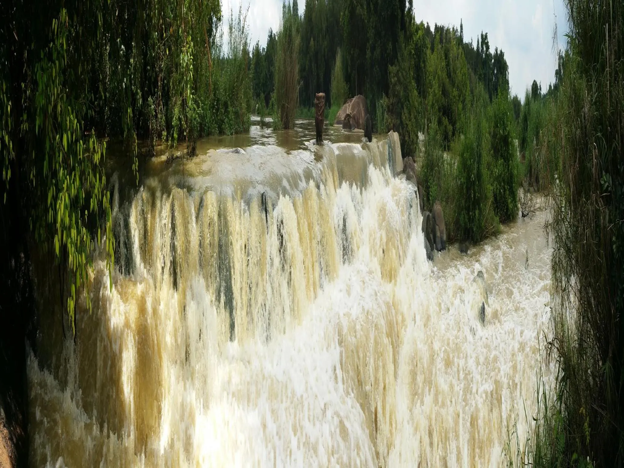 Off site in Cat Tien Jungle Lodge