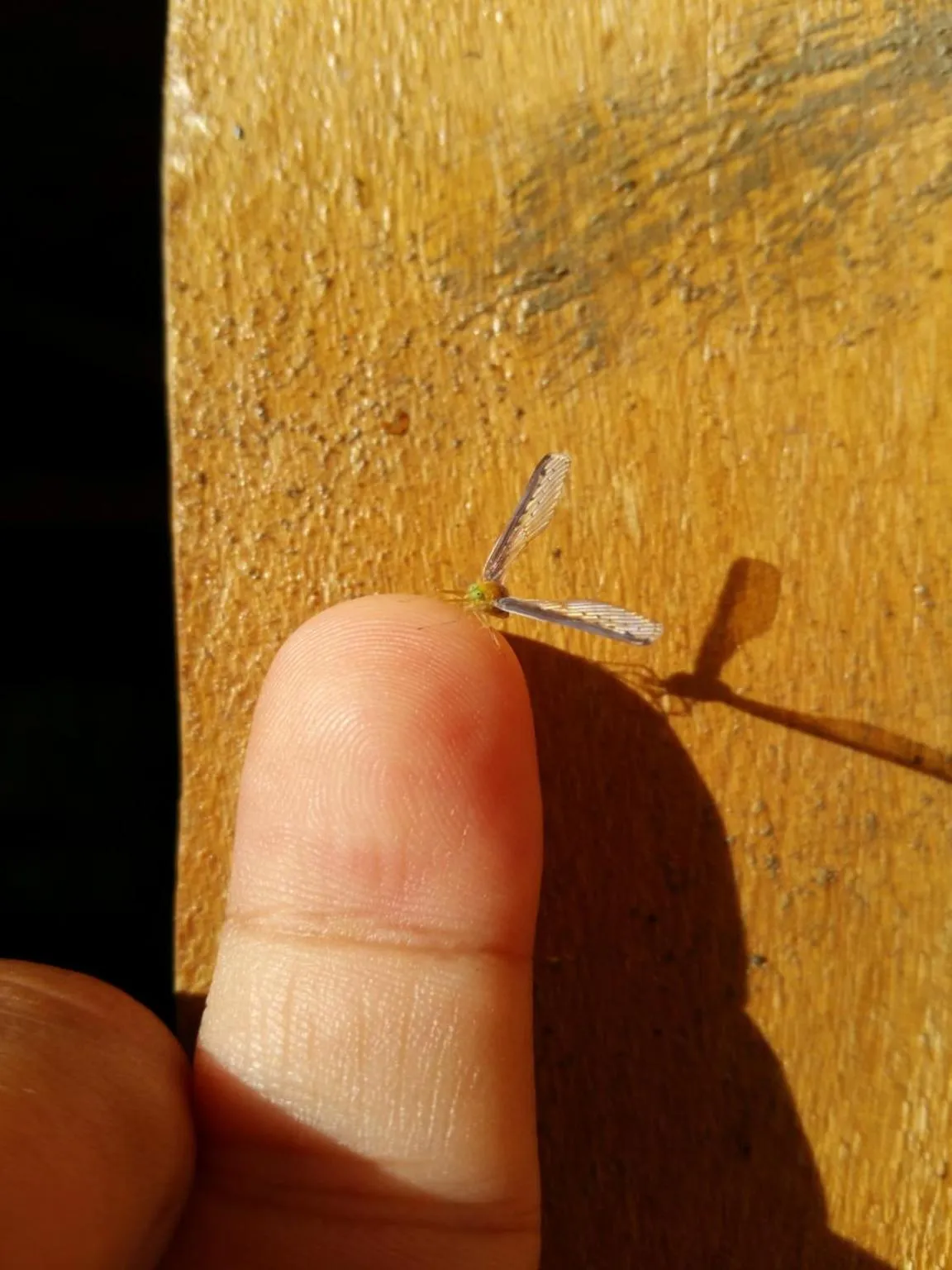 Other in Cat Tien Jungle Lodge