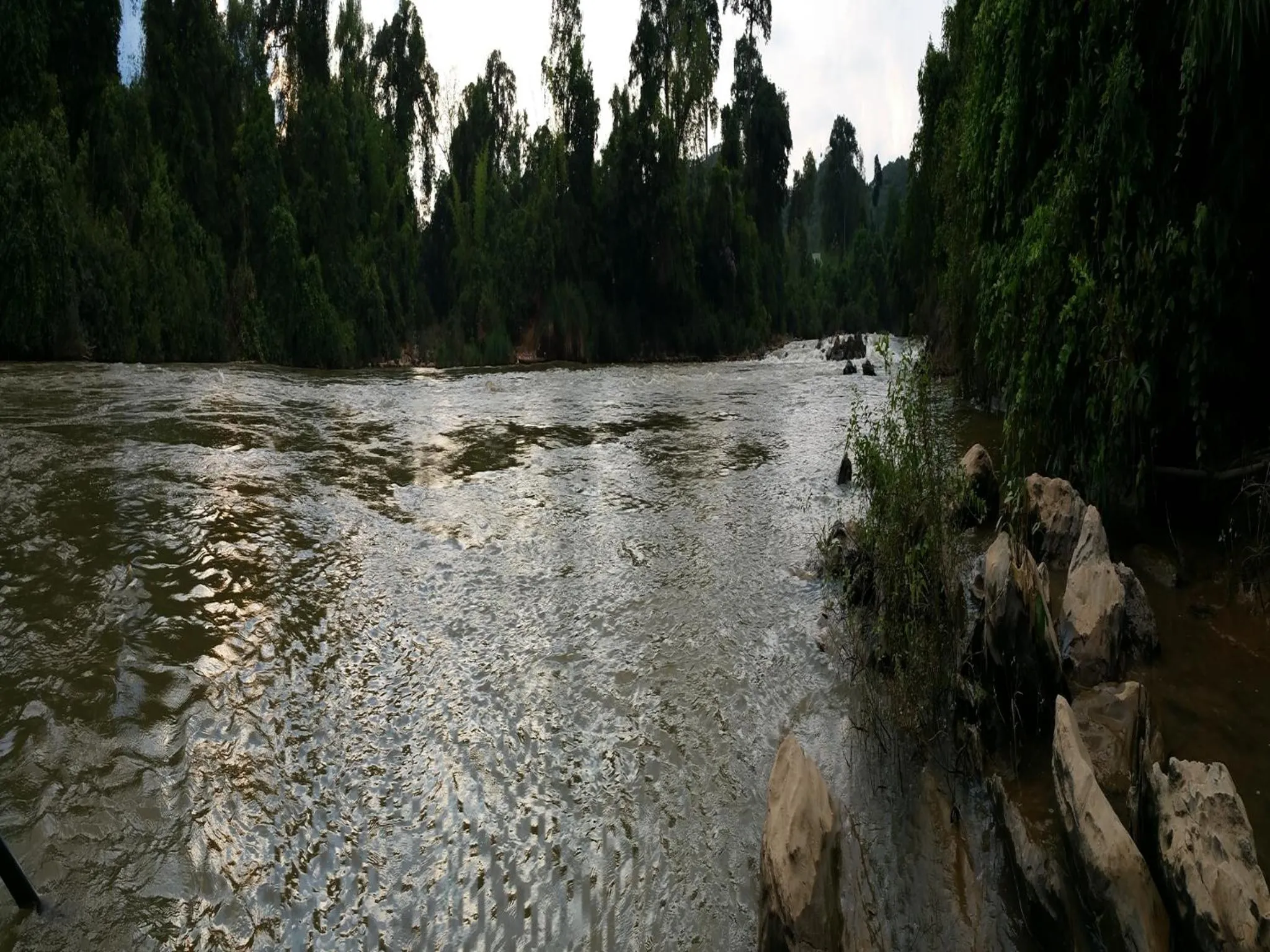 Off site in Cat Tien Jungle Lodge