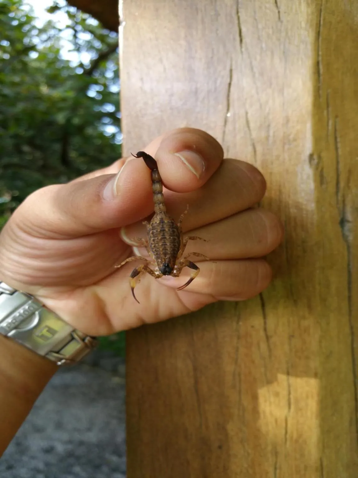 Off site in Cat Tien Jungle Lodge