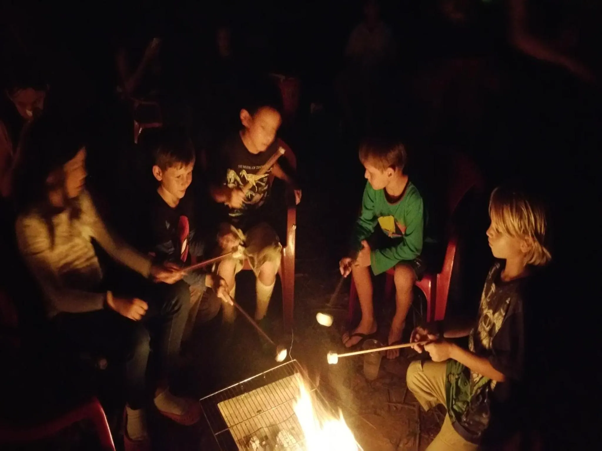 Night in Cat Tien Jungle Lodge