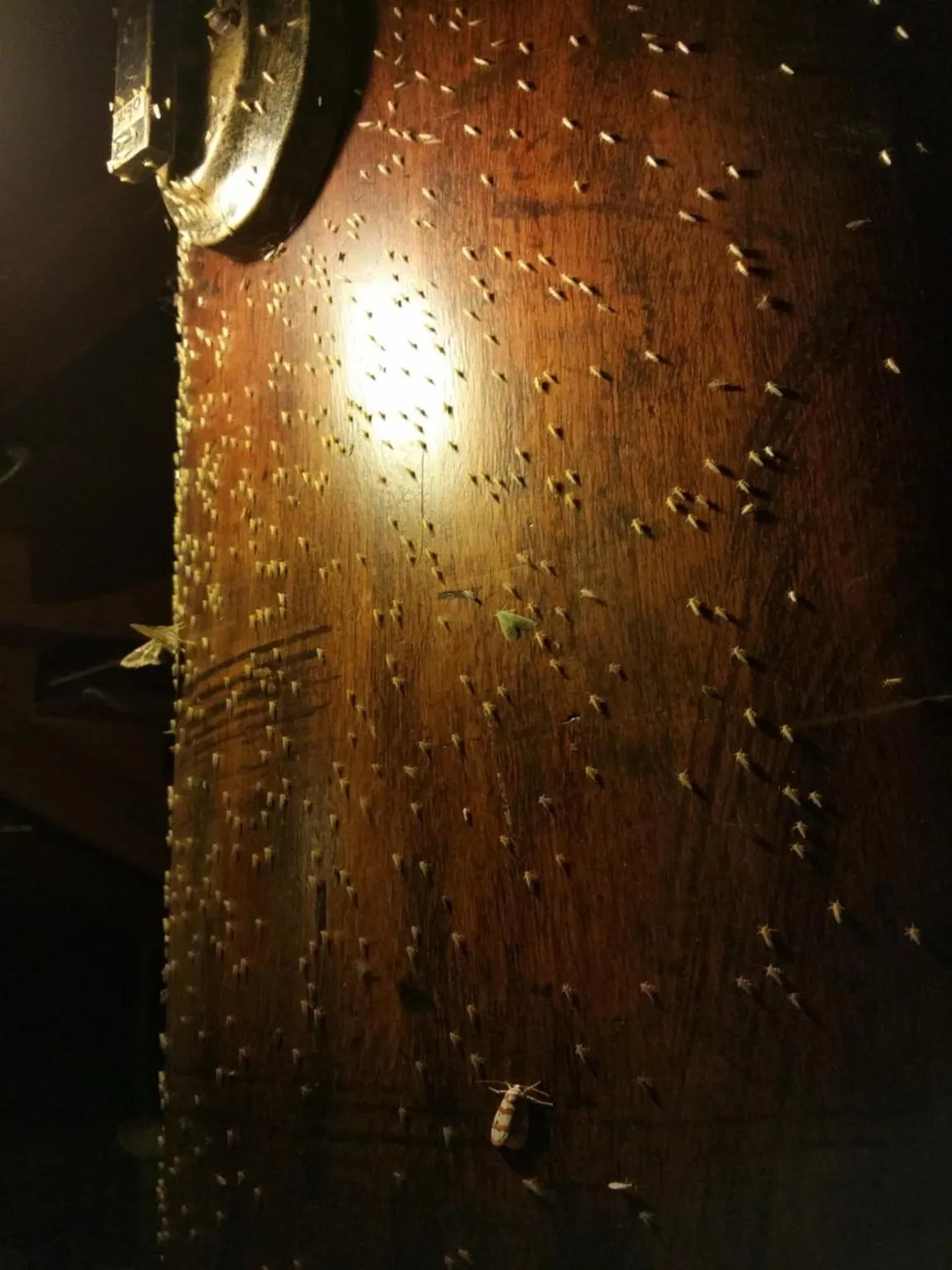 Off site in Cat Tien Jungle Lodge