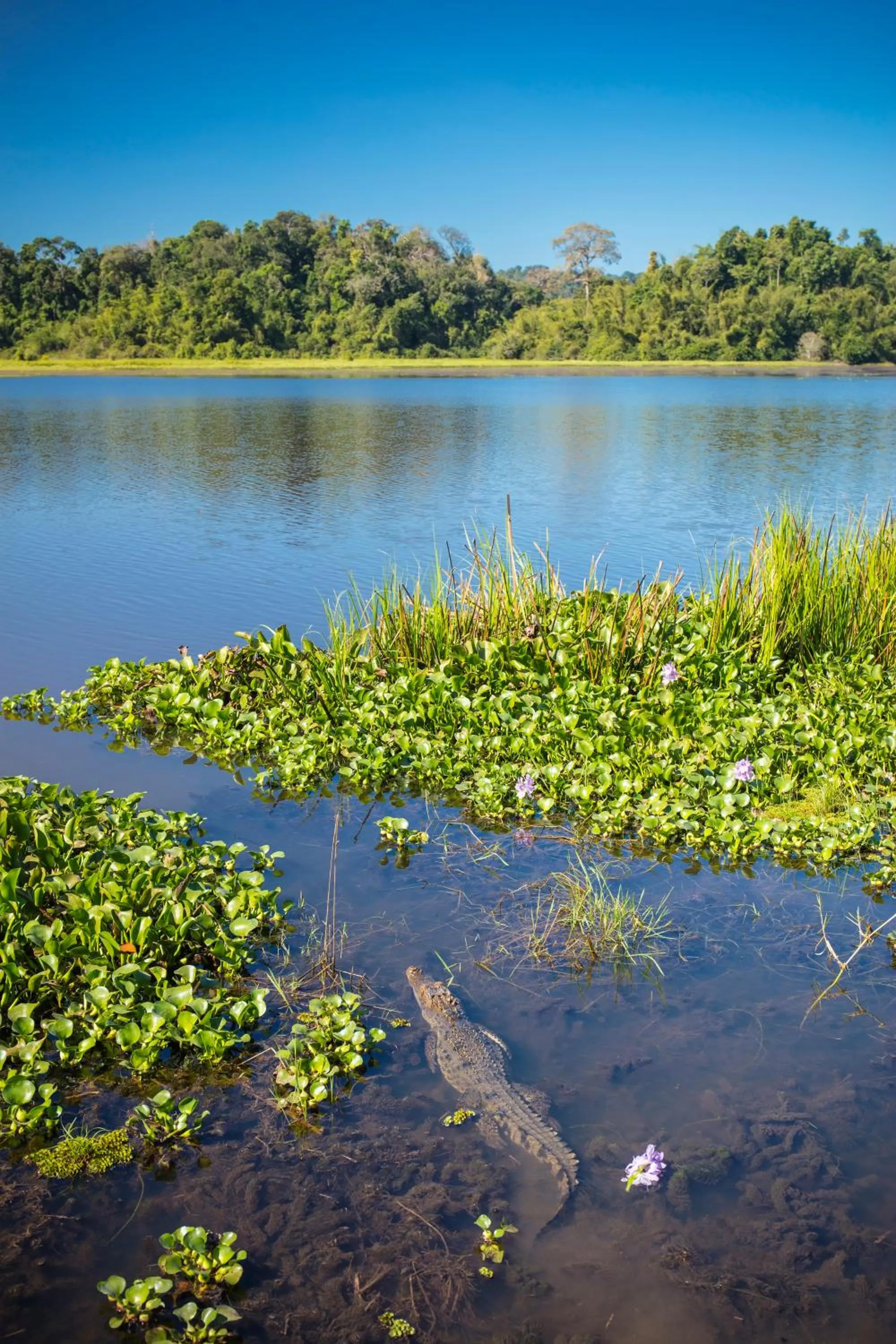Natural landscape in Cat Tien Jungle Lodge