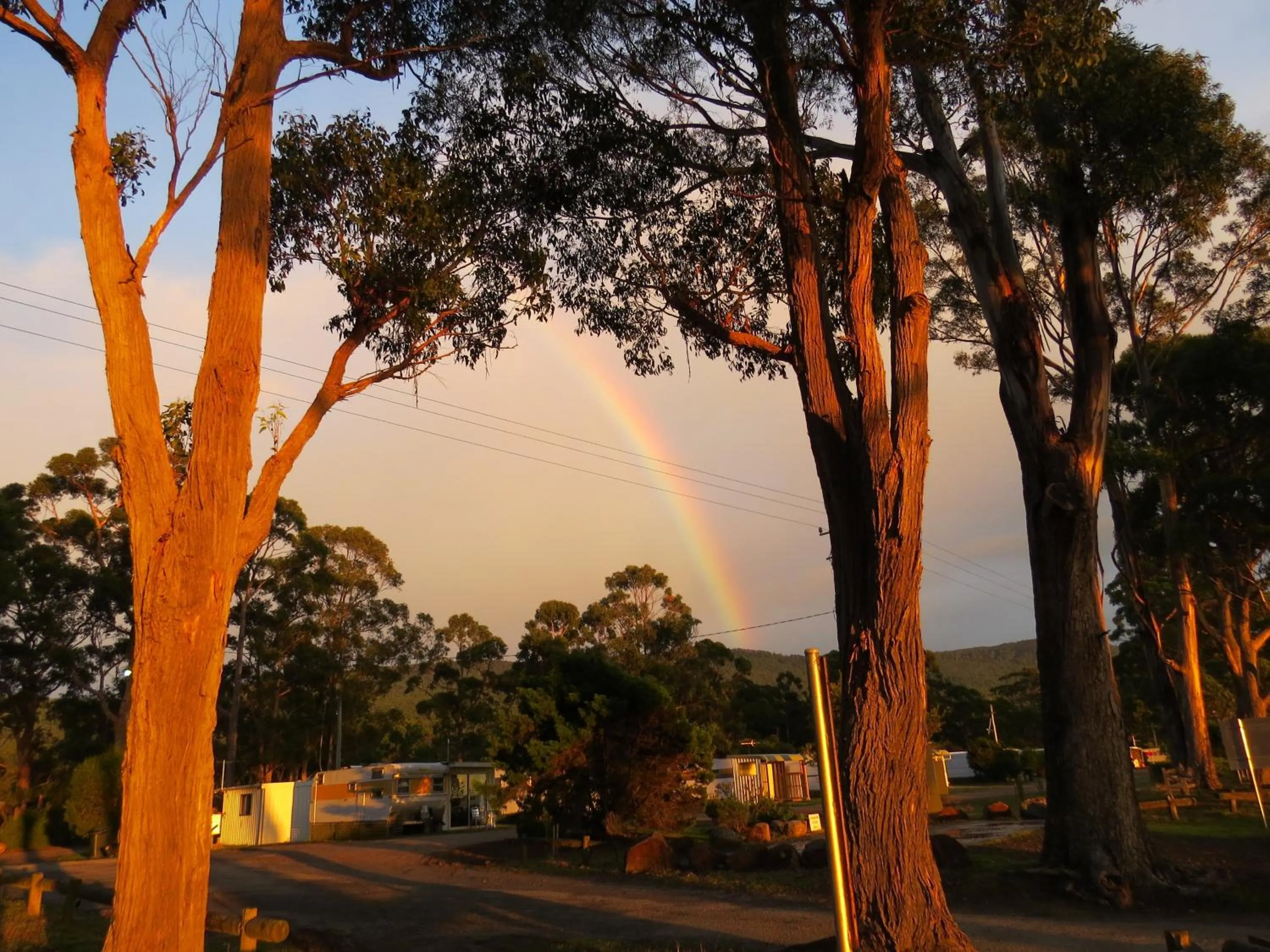 Area and facilities in Captain Cook Holiday Park