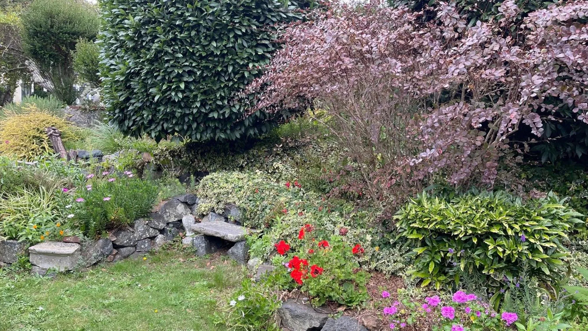 Garden in Pandora Hotel