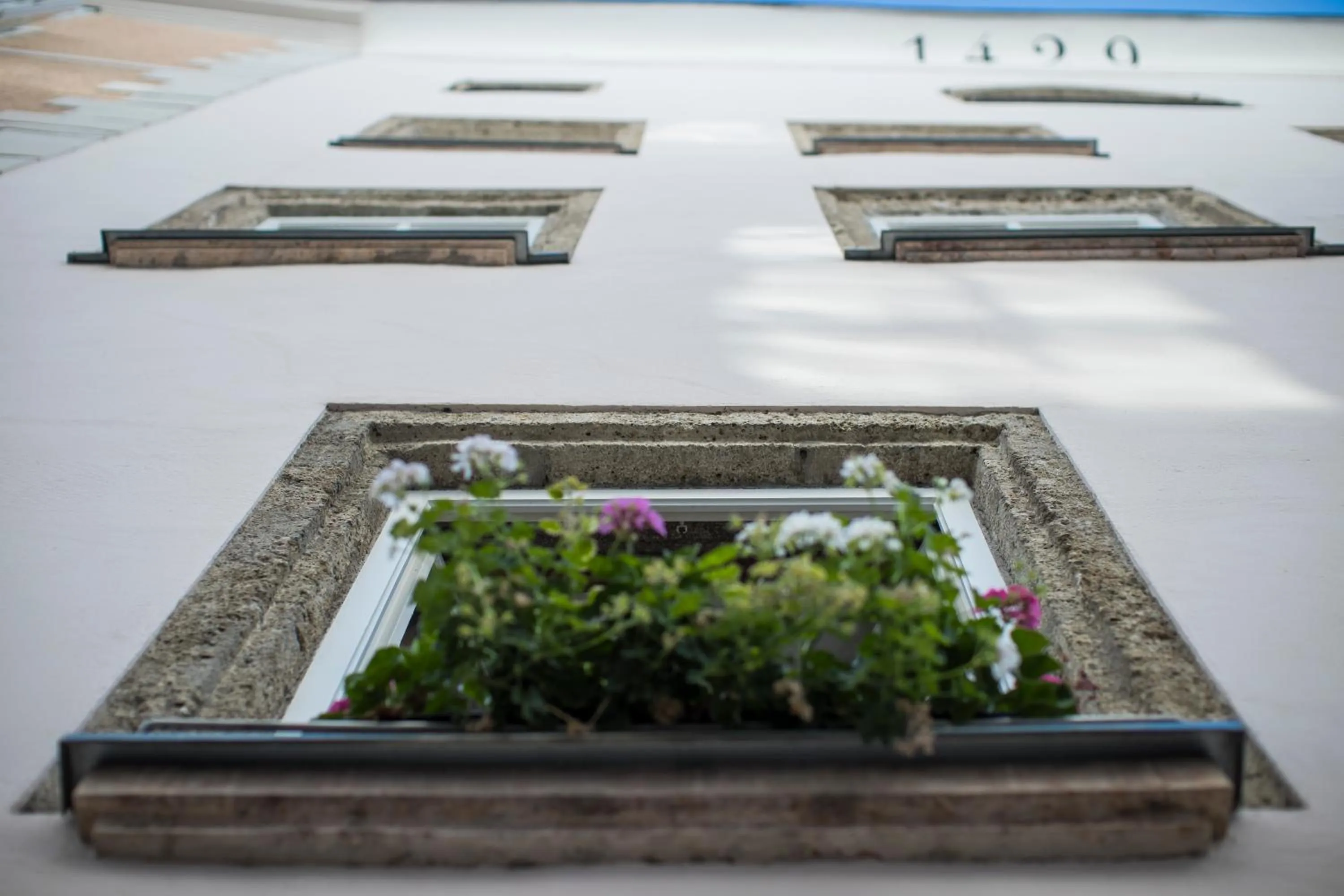 Property building in Hotel Wolf