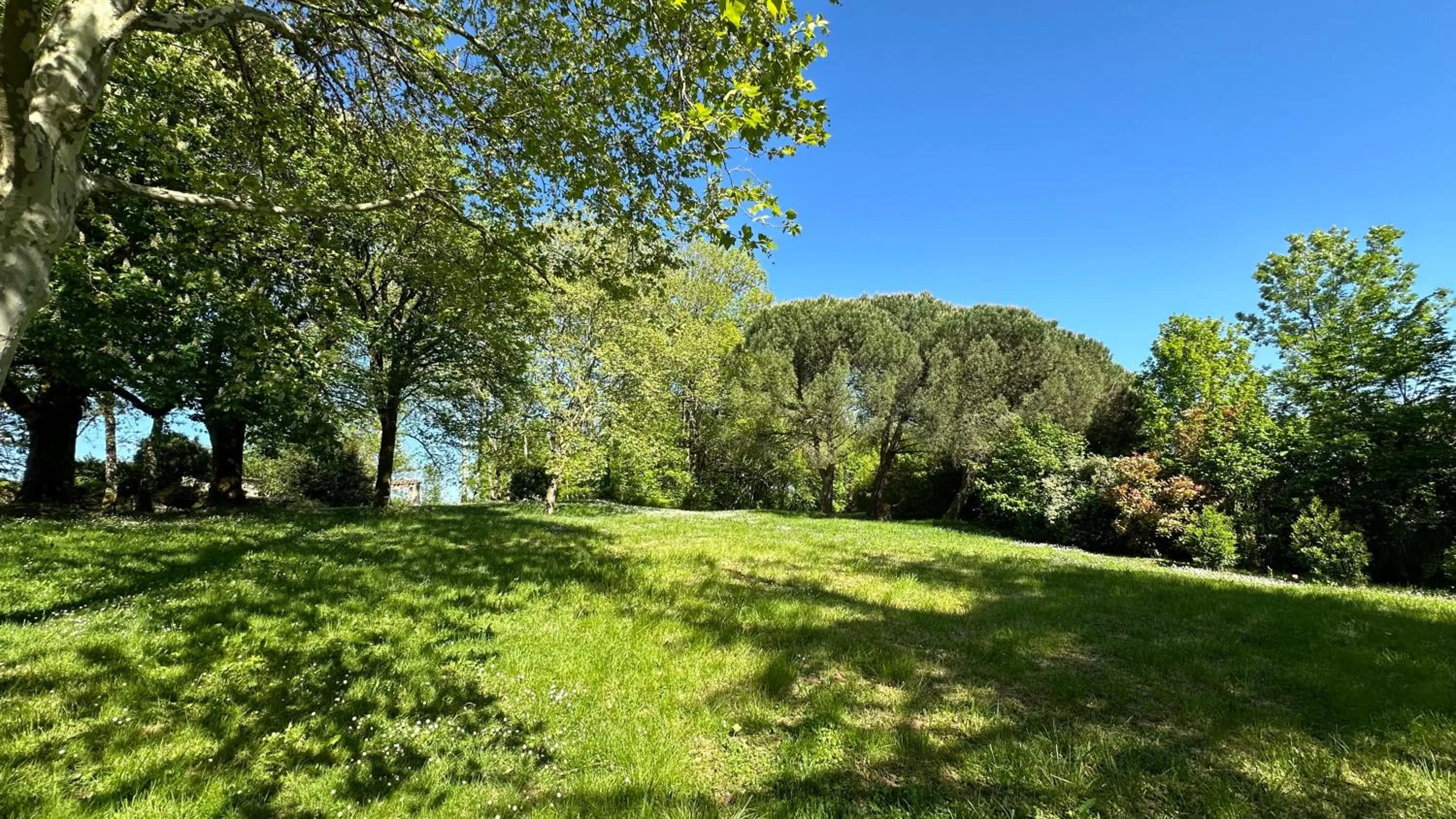 Garden in Les Hauts de Sauliès - Chambre et Table d'Hôtes de charme
