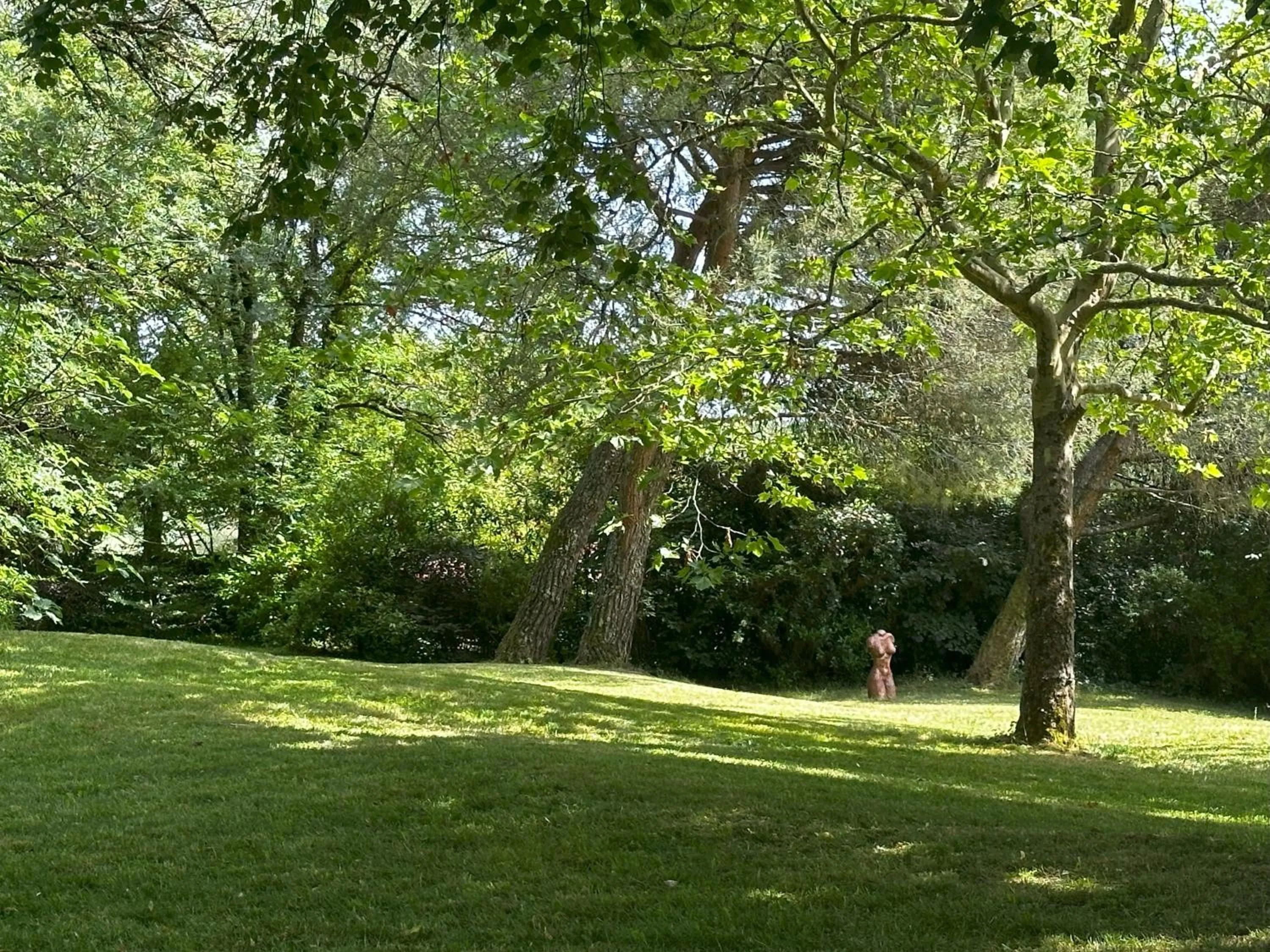 Garden in Les Hauts de Sauliès - Chambre et Table d'Hôtes de charme