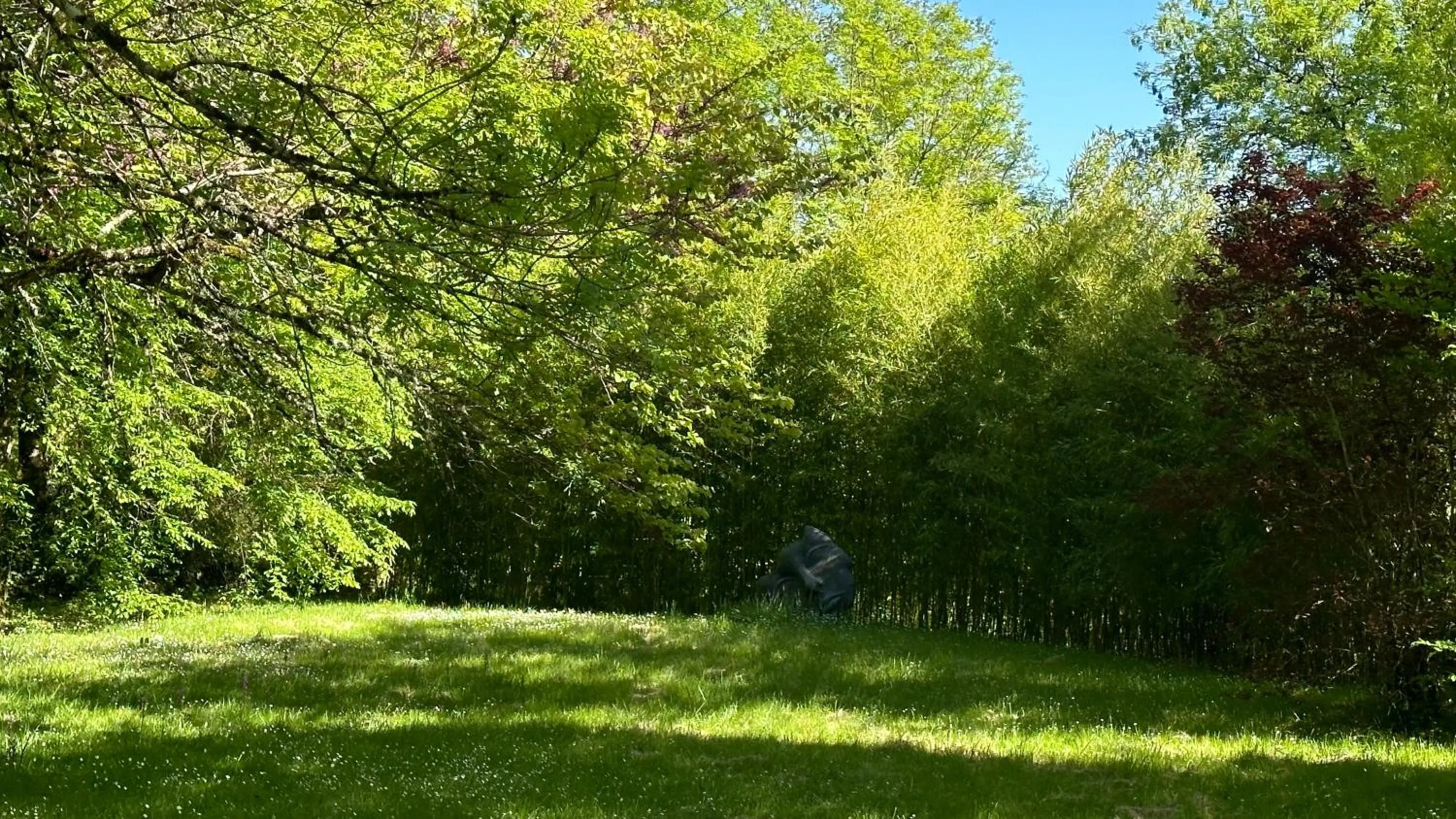 Garden view in Les Hauts de Sauliès - Chambre et Table d'Hôtes de charme