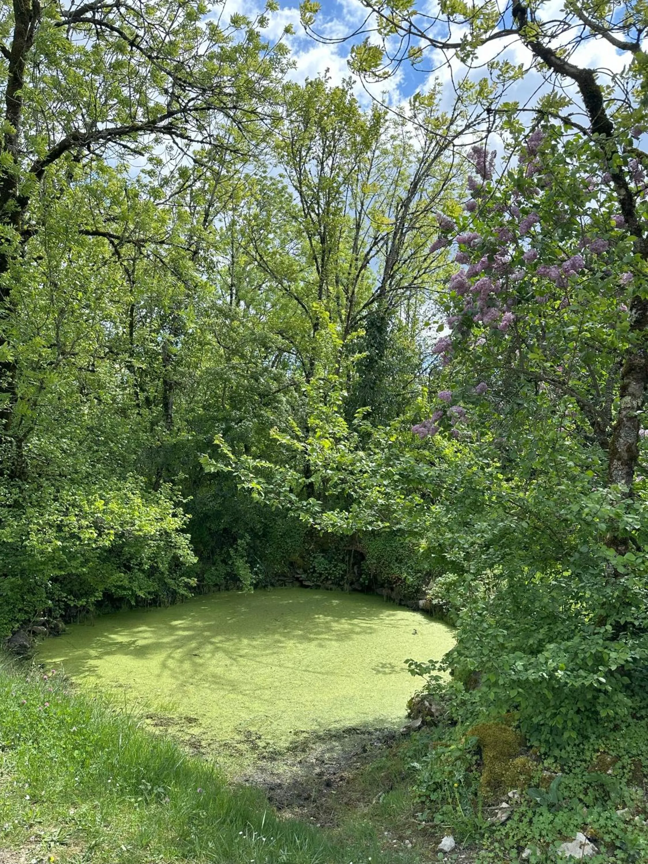 Natural landscape in Les Hauts de Sauliès - Chambre et Table d'Hôtes de charme