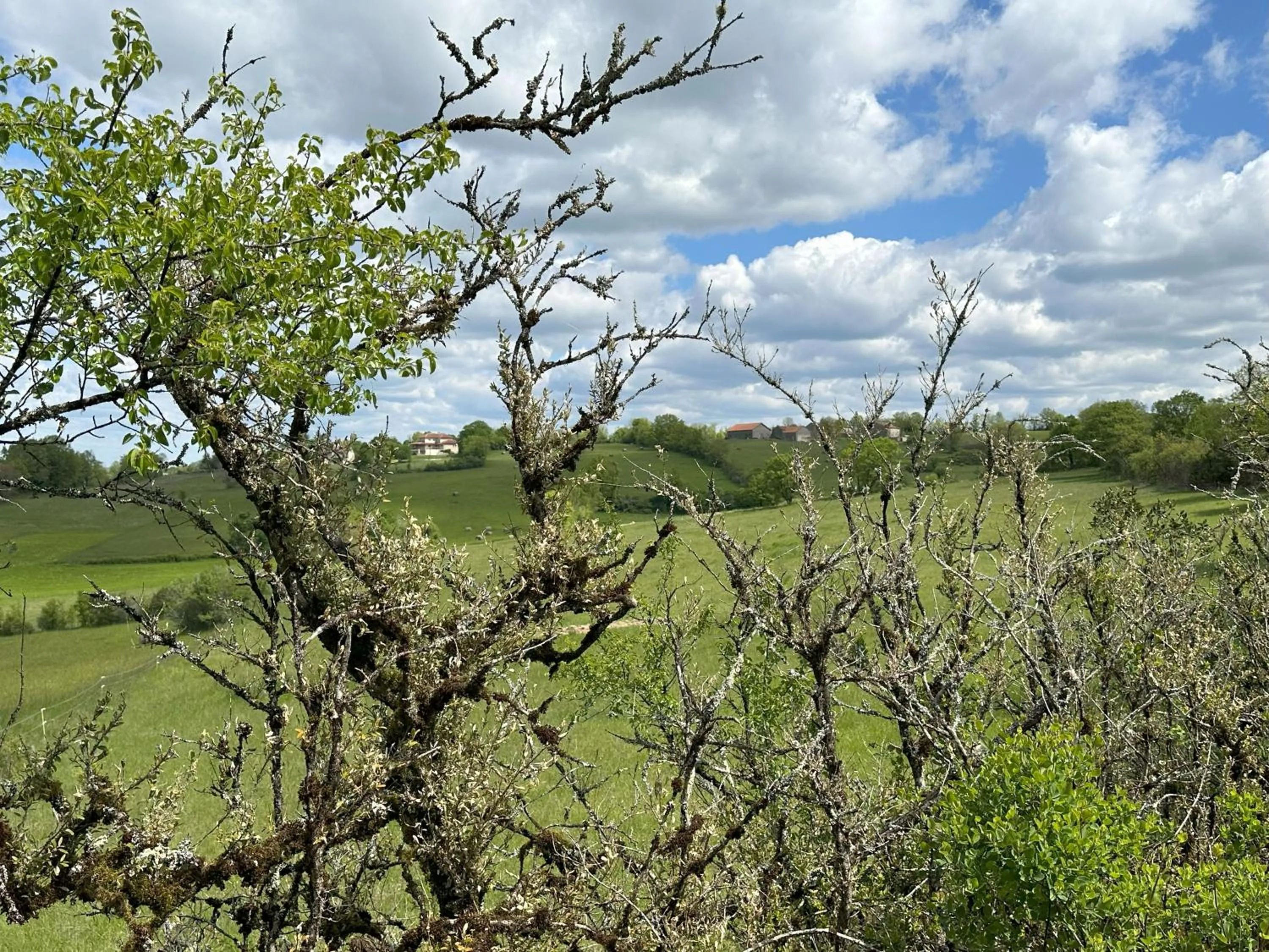 Natural landscape in Les Hauts de Sauliès - Chambre et Table d'Hôtes de charme