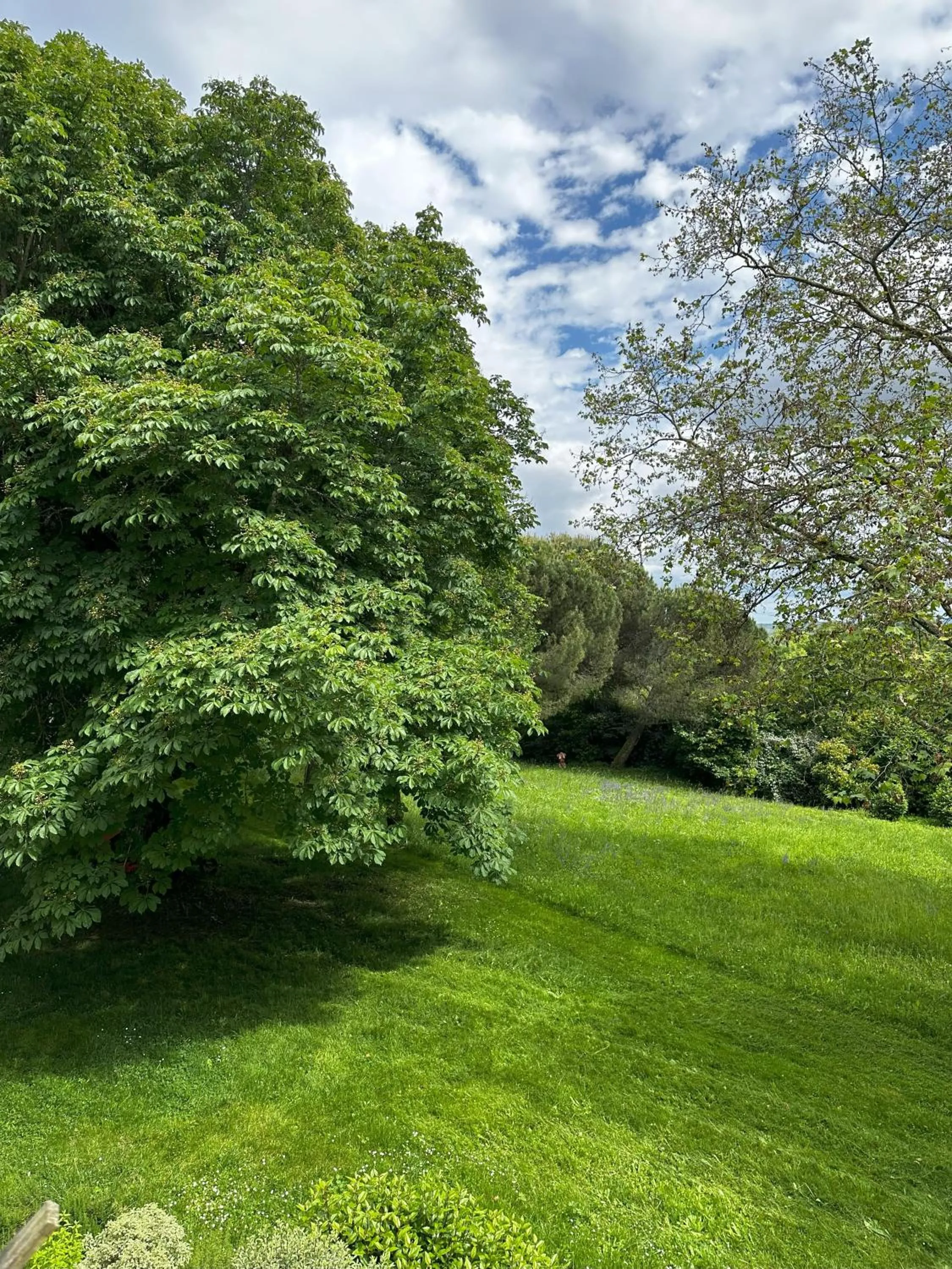 Garden view in Les Hauts de Sauliès - Chambre et Table d'Hôtes de charme