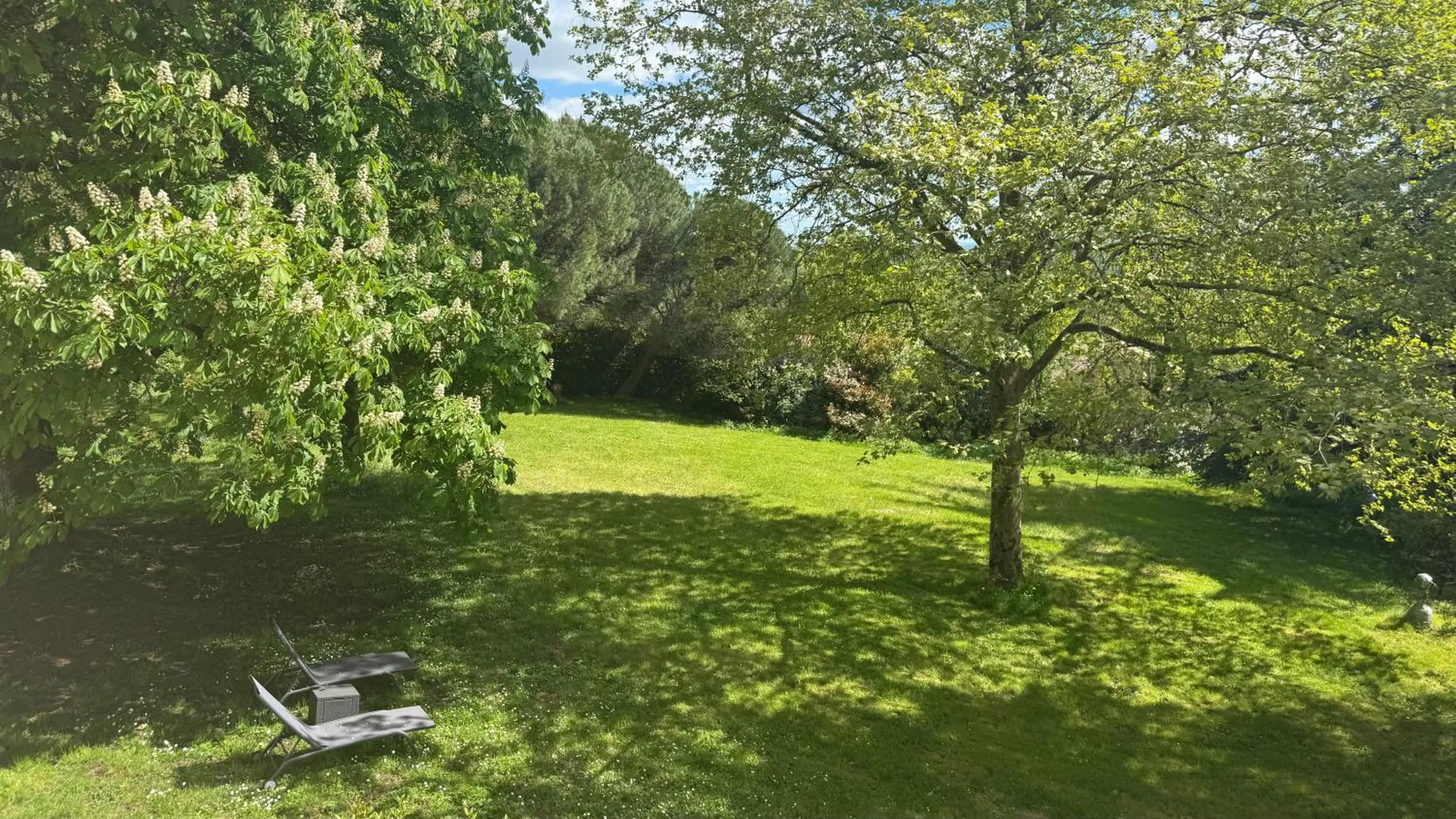 Garden view in Les Hauts de Sauliès - Chambre et Table d'Hôtes de charme
