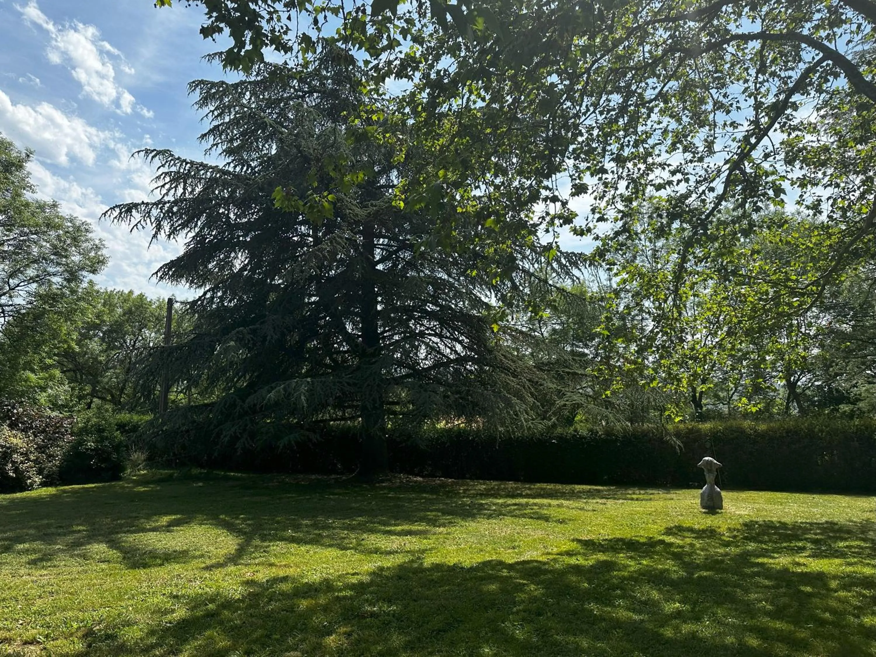 Garden in Les Hauts de Sauliès - Chambre et Table d'Hôtes de charme