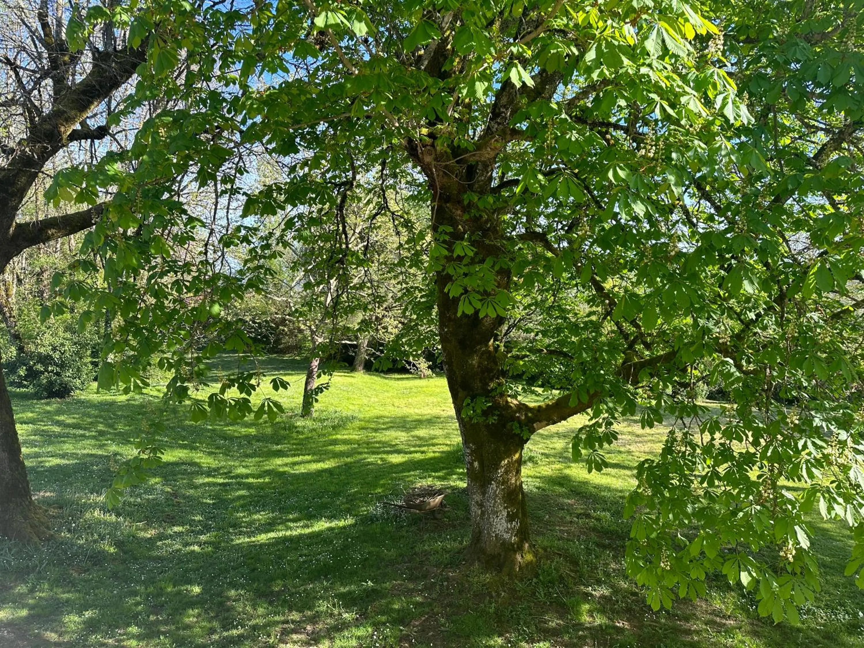 Garden view in Les Hauts de Sauliès - Chambre et Table d'Hôtes de charme
