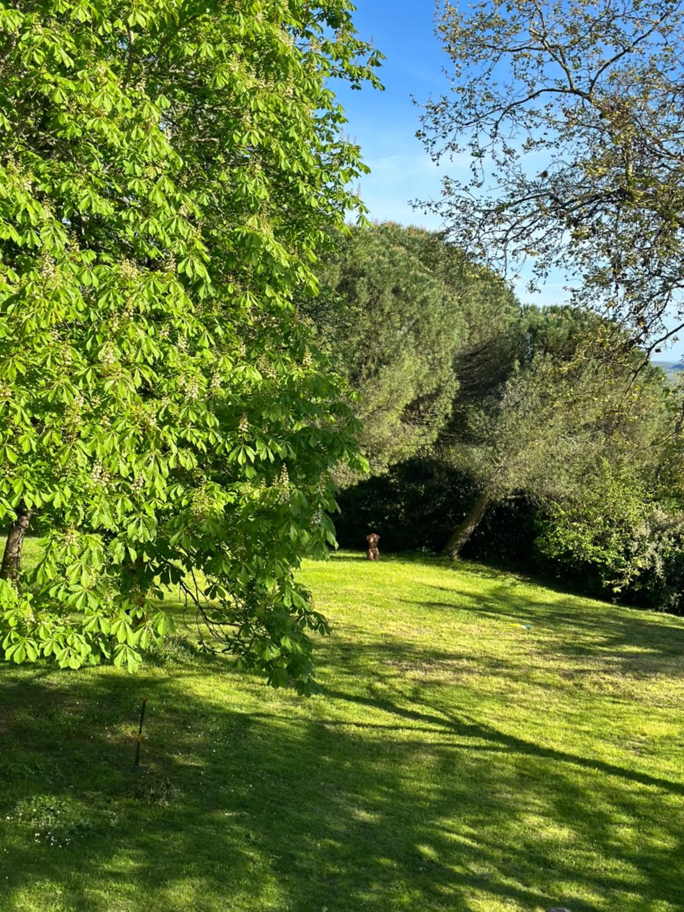 Garden view in Les Hauts de Sauliès - Chambre et Table d'Hôtes de charme