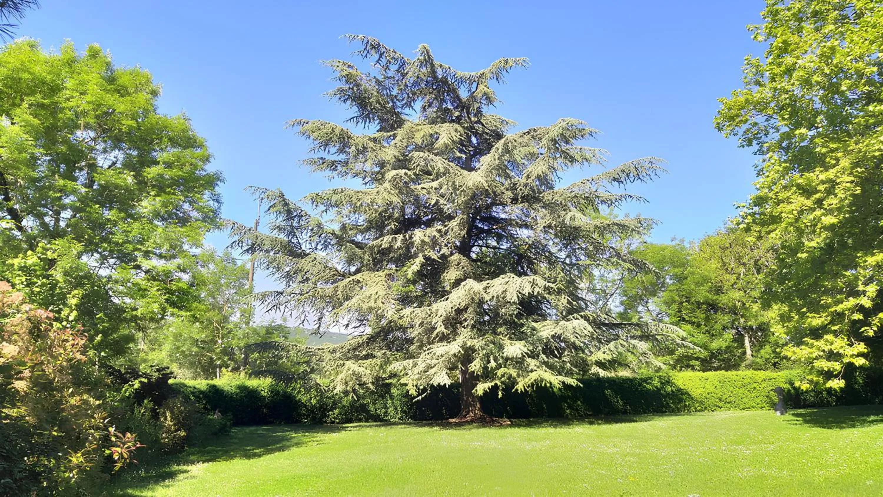 Garden in Les Hauts de Sauliès - Chambre et Table d'Hôtes de charme