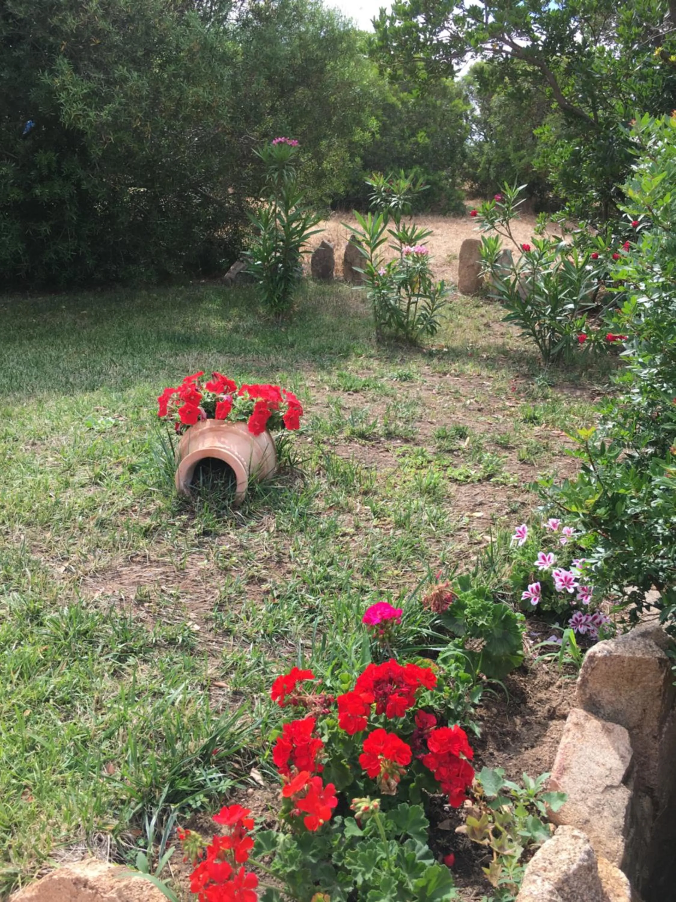 I Mari Di Gallura Suites and Rooms