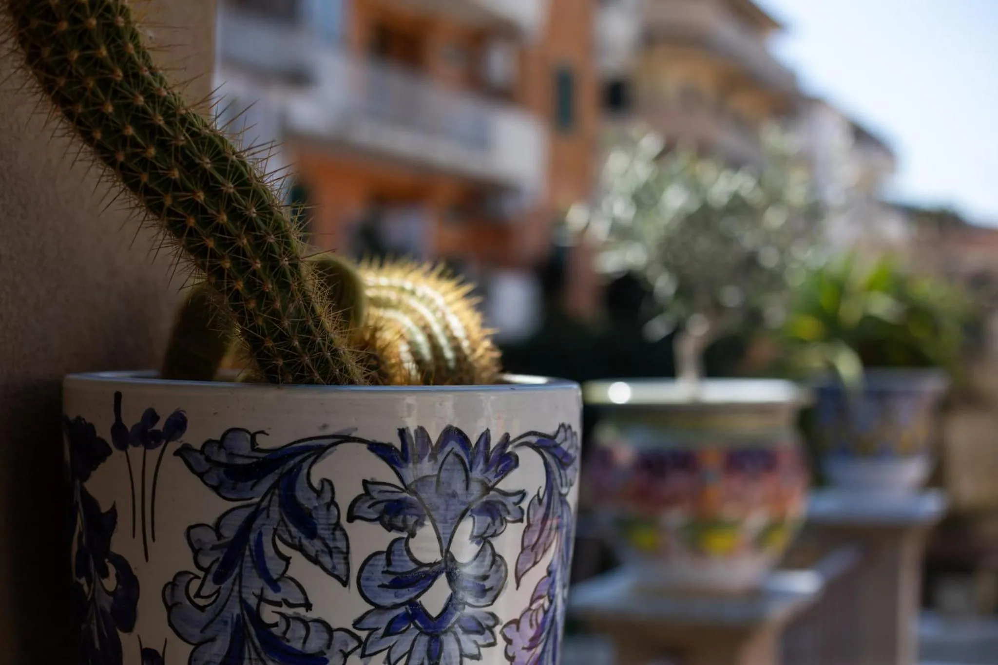 B&B Allison Tropea by Kalavrìa Holidays