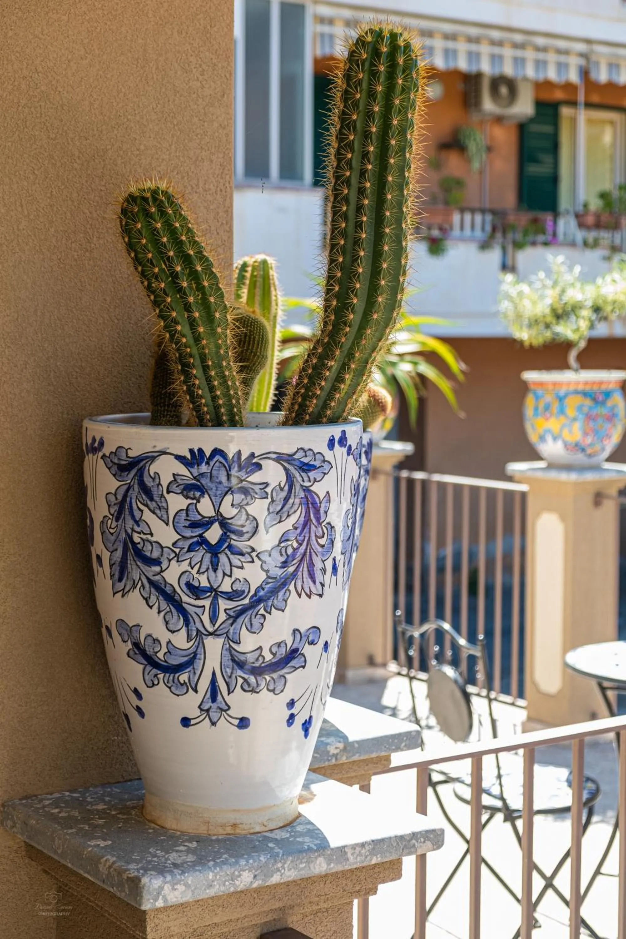 Day in B&B Allison Tropea by Kalavrìa Holidays