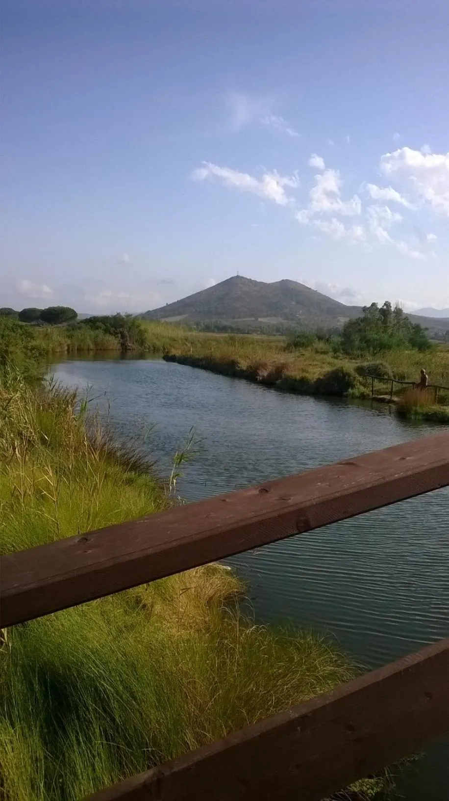 Natural landscape in B&B Il Mirto di Paola