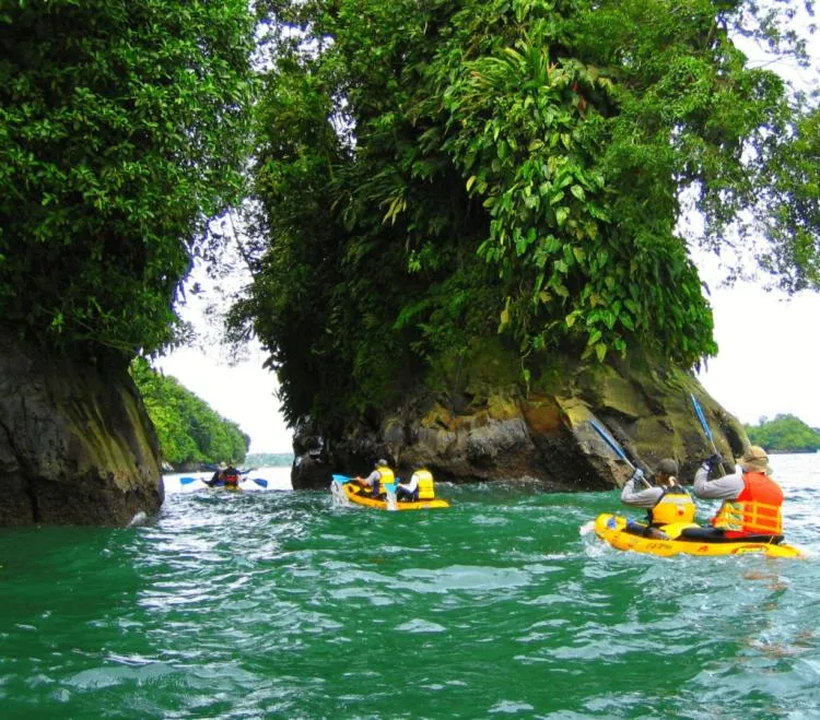 Natural landscape in Edificio Regata INN