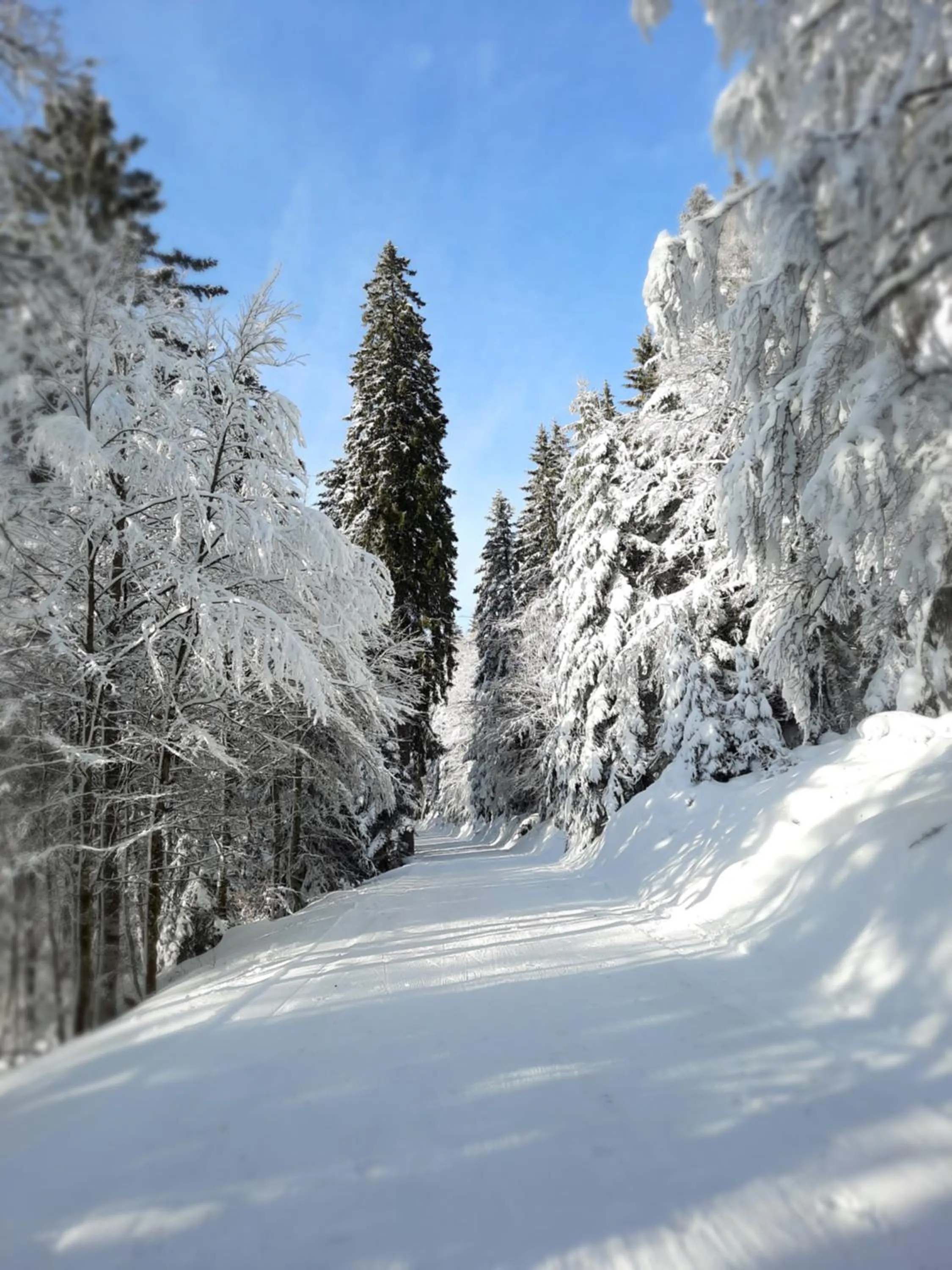 Skiing in Au Cœur des Lacs - Chambres d'hôtes