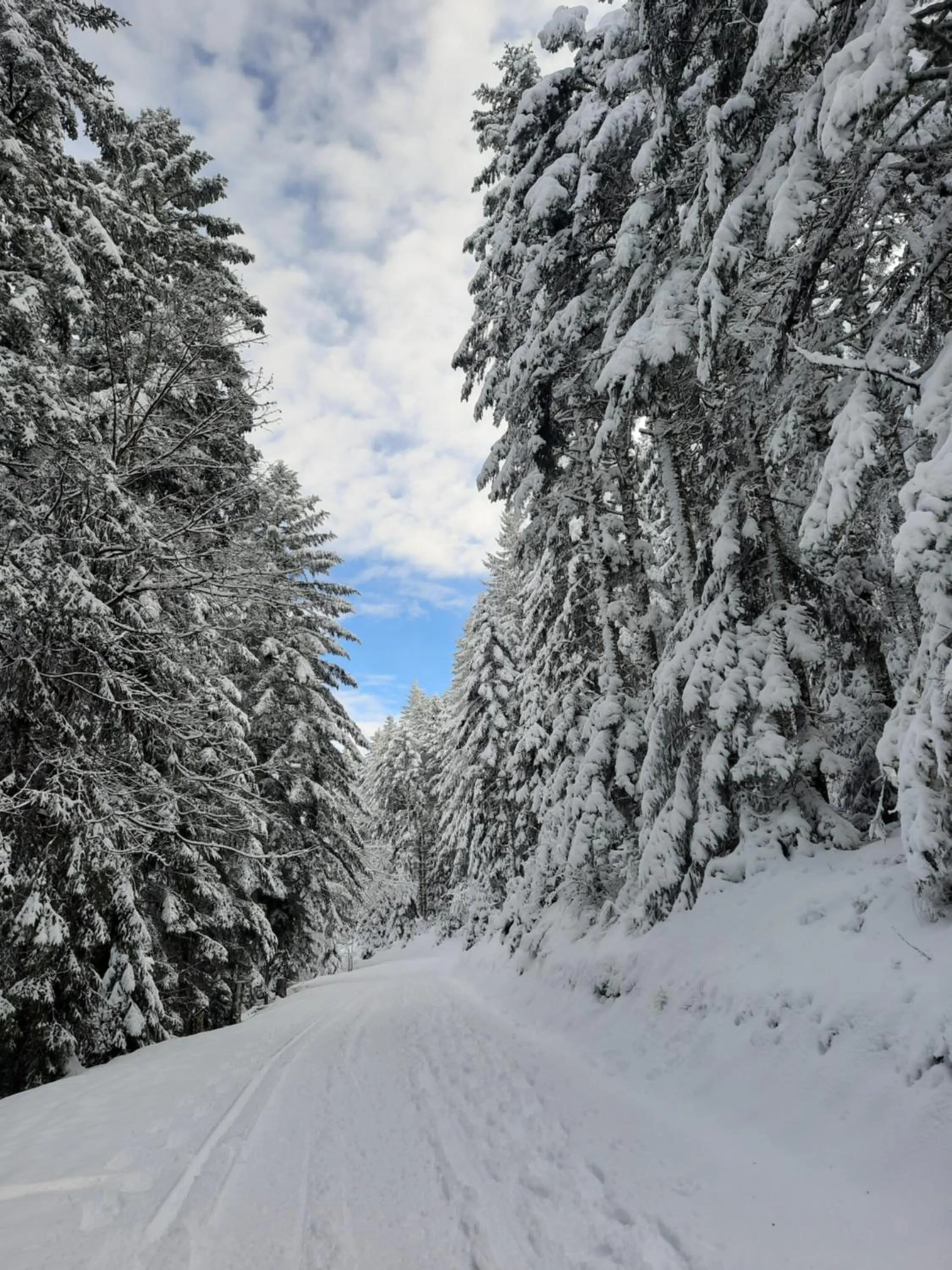 Natural landscape in Au Cœur des Lacs - Chambres d'hôtes